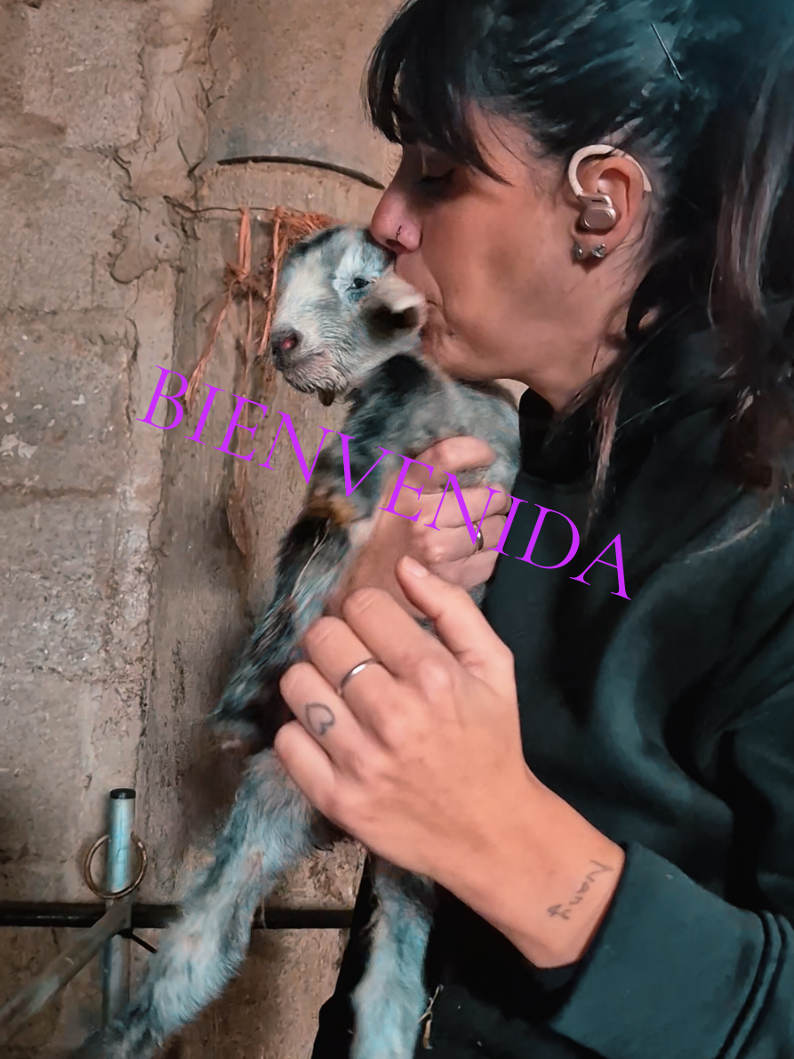 @lamujerdesastre