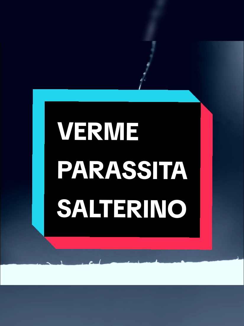 @bag of parasites