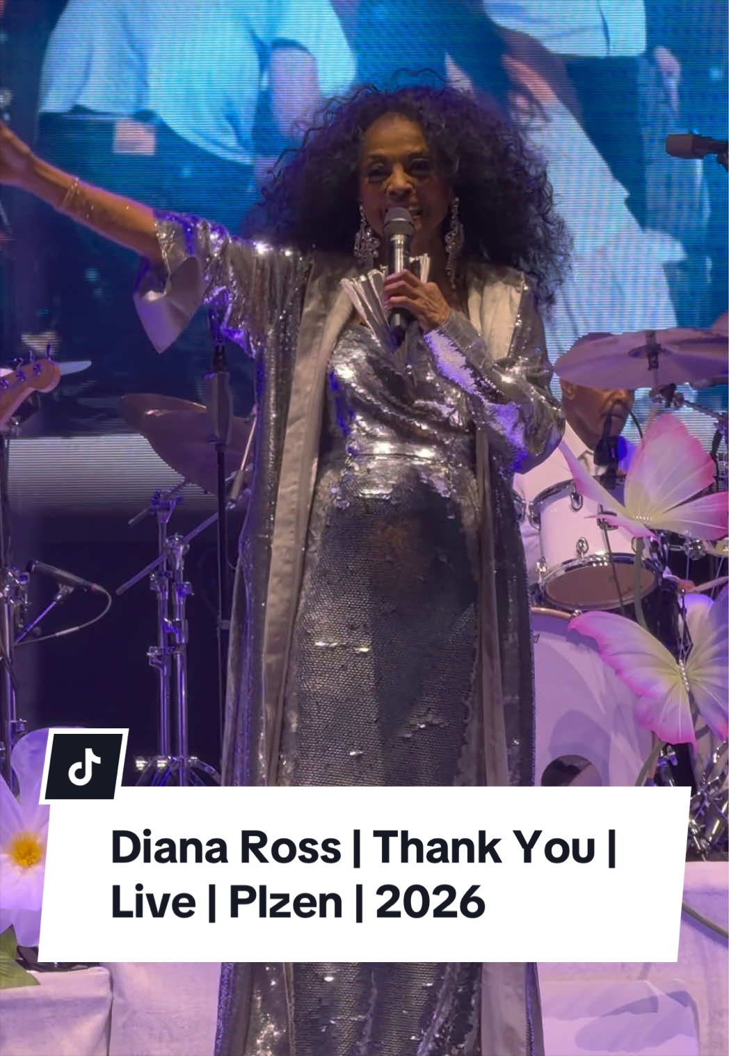 @StevesWorldTour