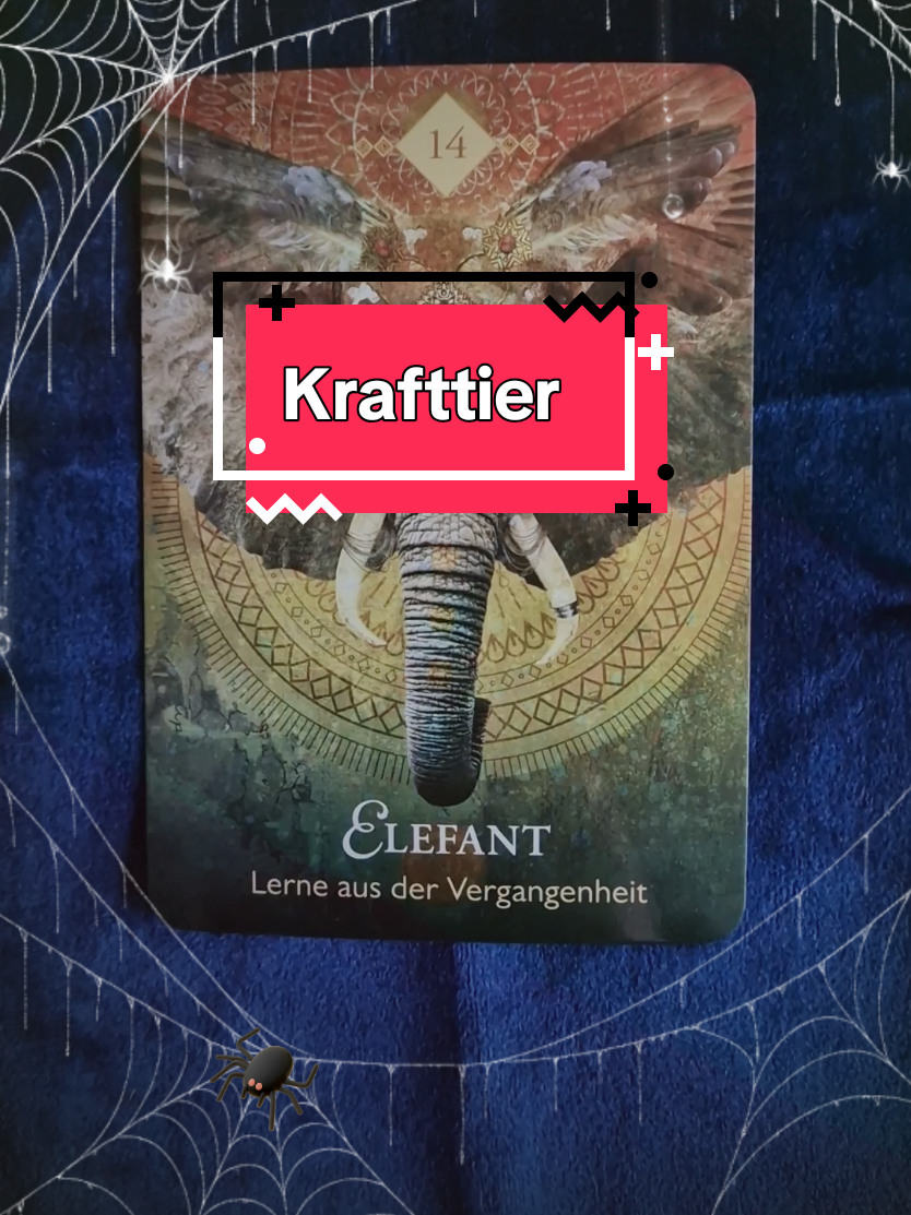 @Tarot Botschaft