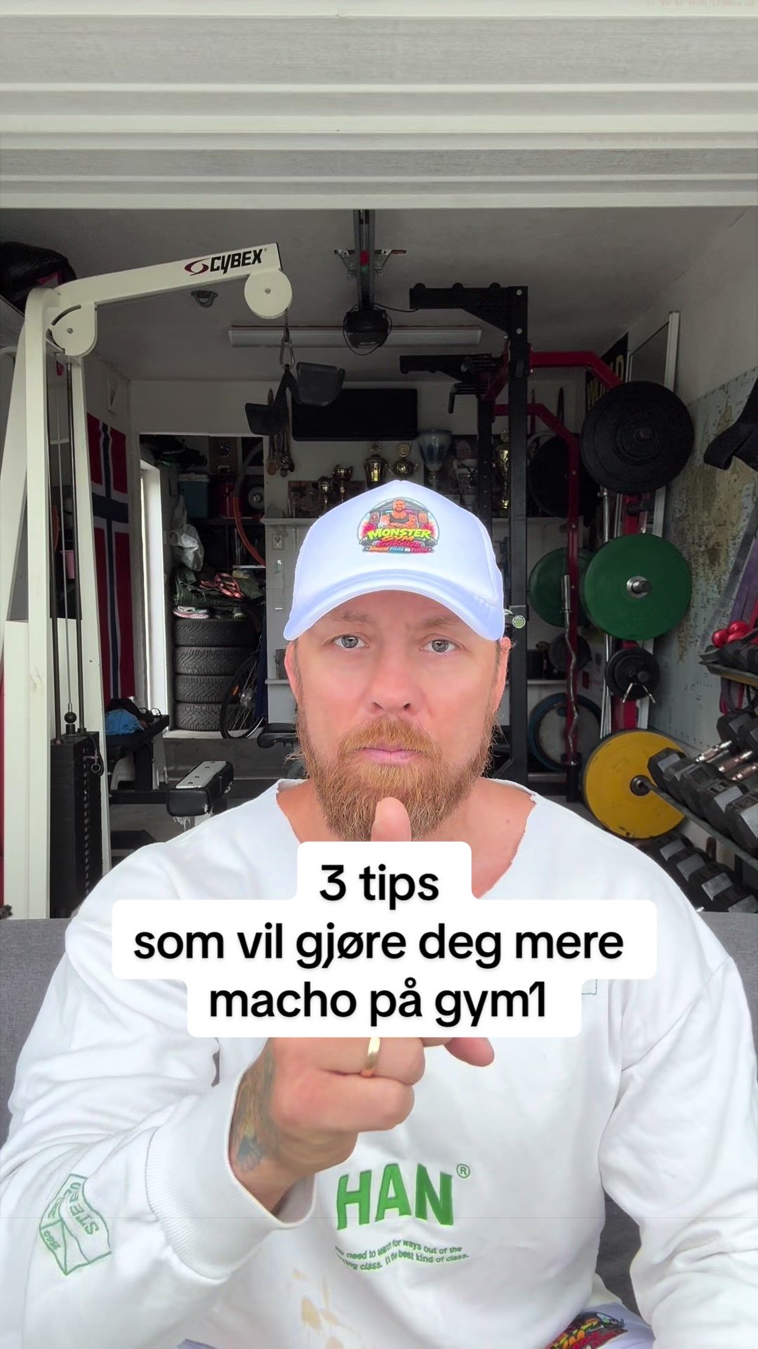 @fritzaanes