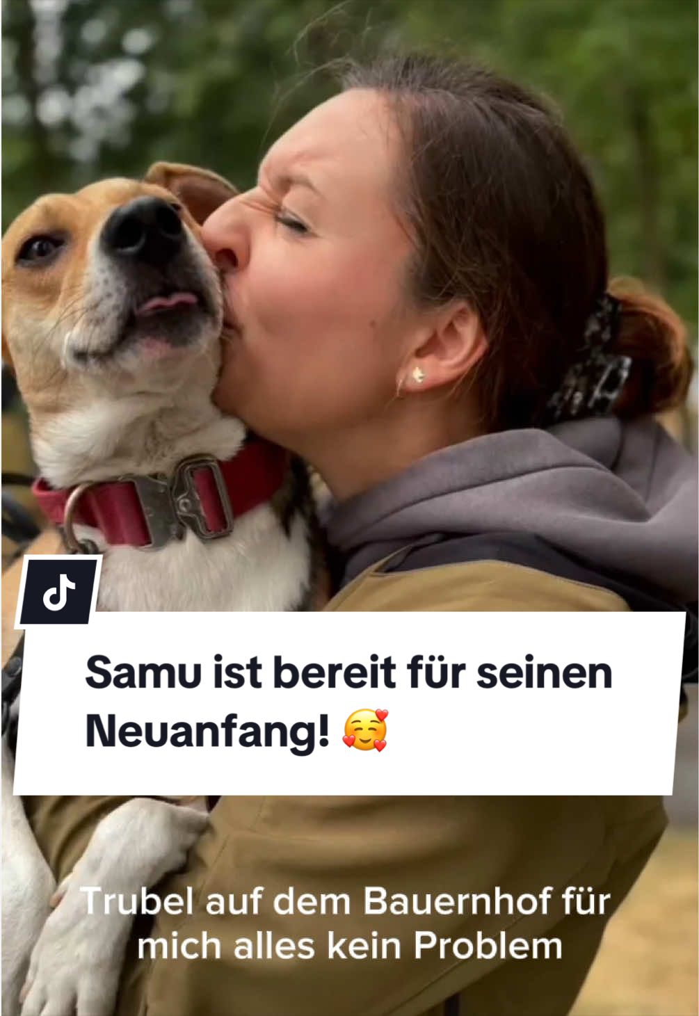 @Ein Herz für Streuner e.V.