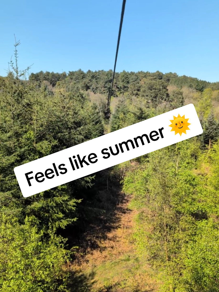 @Go Ape! Cannock