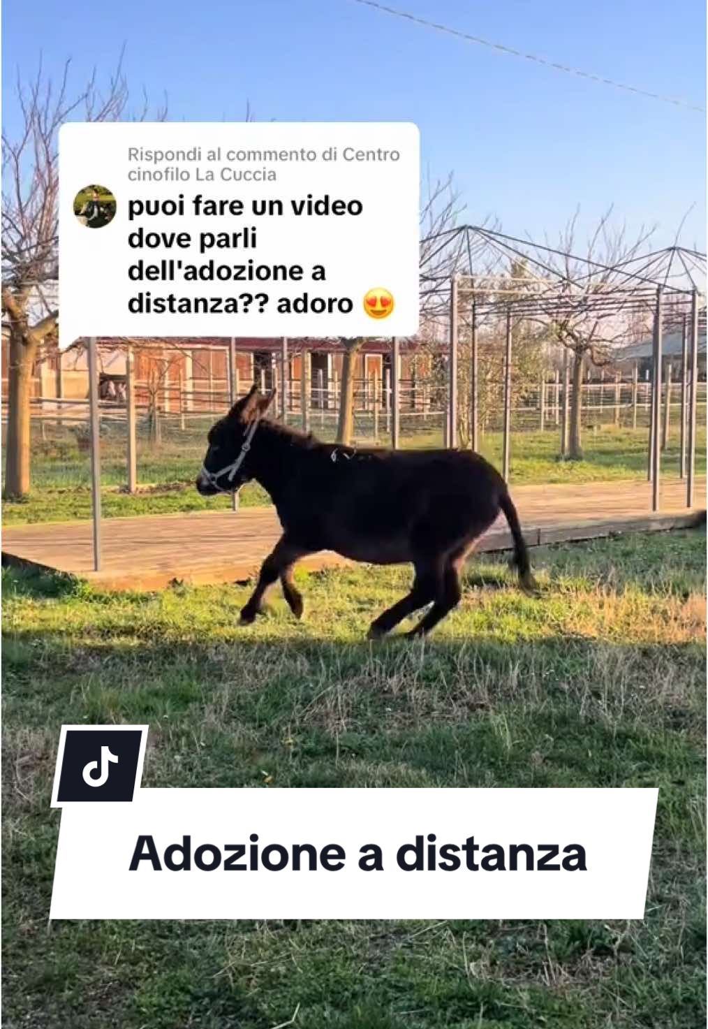 @lilia.troni