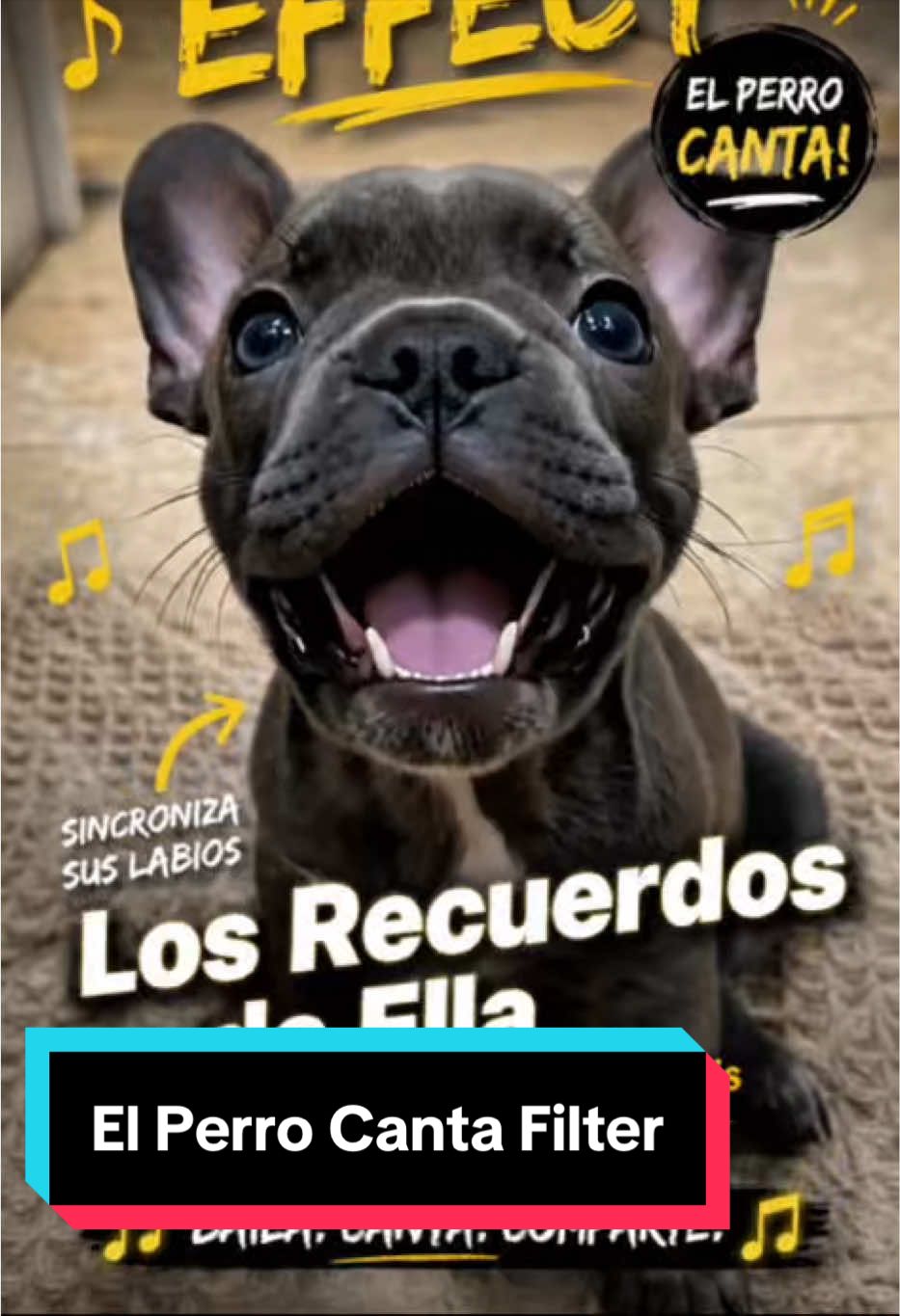 @ArtemisCC
