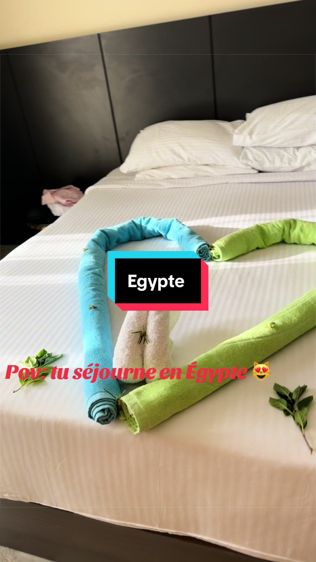@Layla Lili 🤍