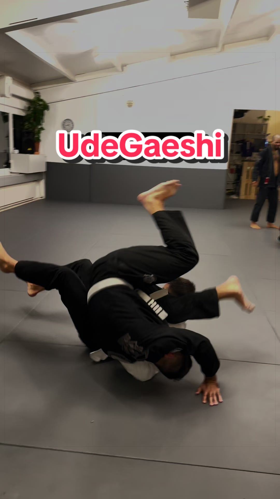 @Salembjj85