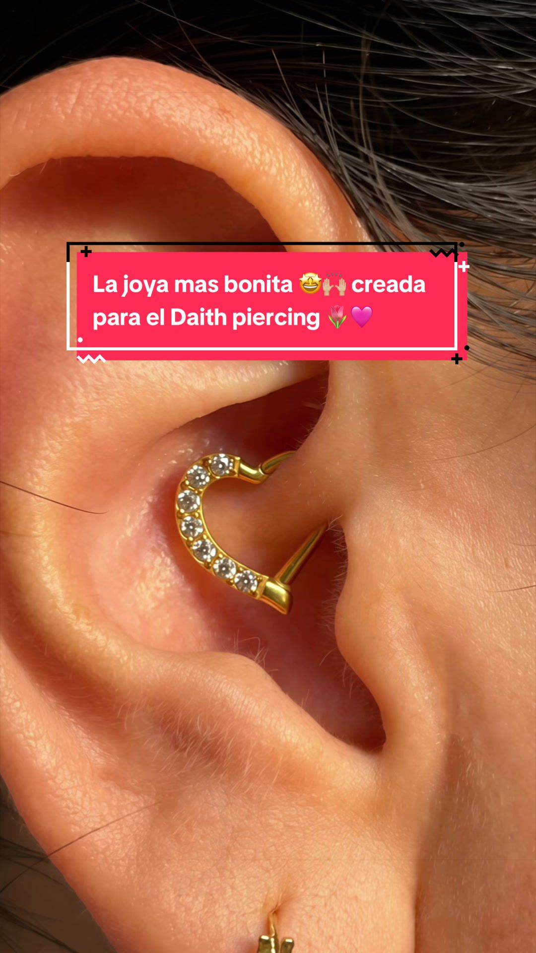@Reina Reyes