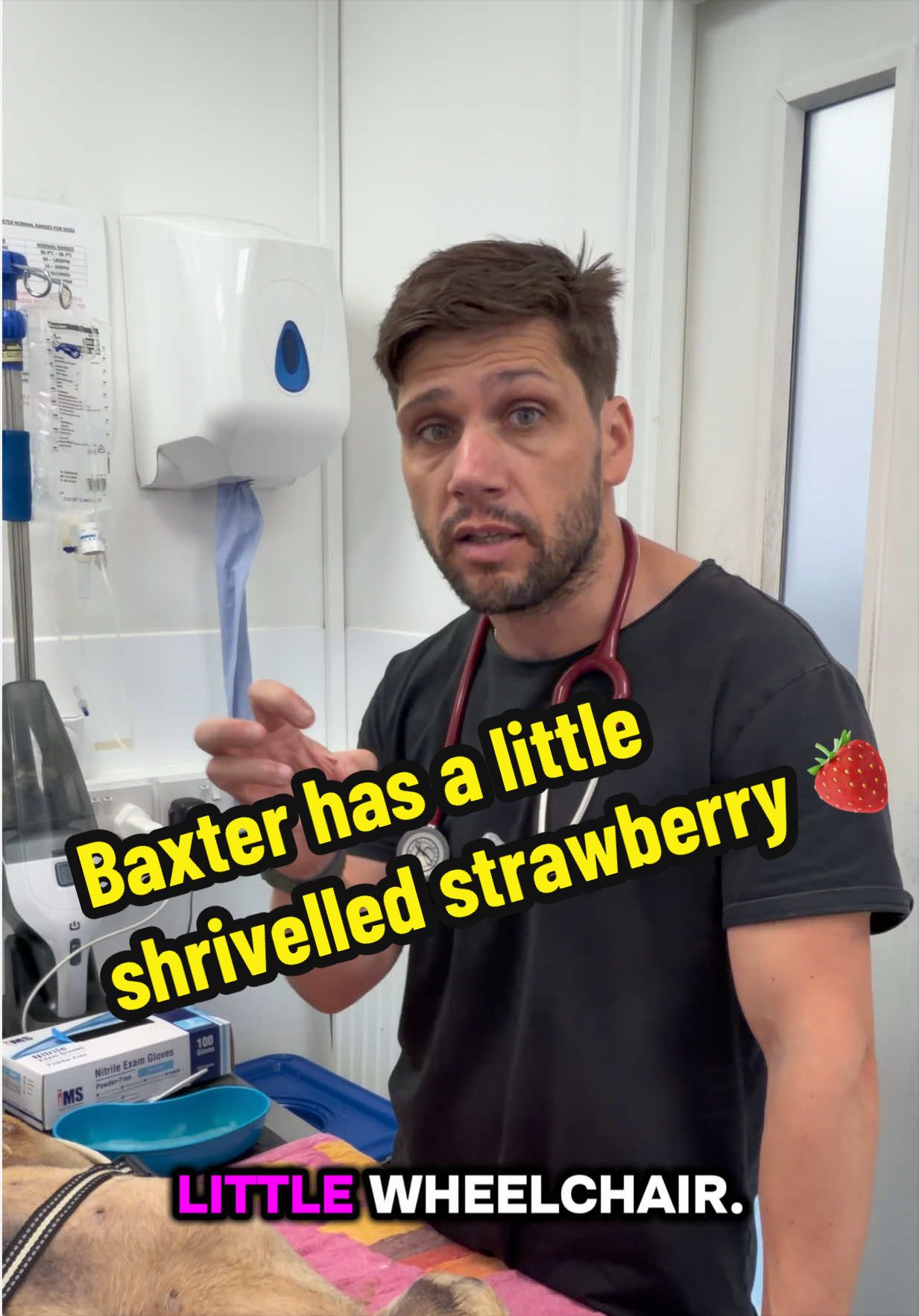 @Tomasthevet