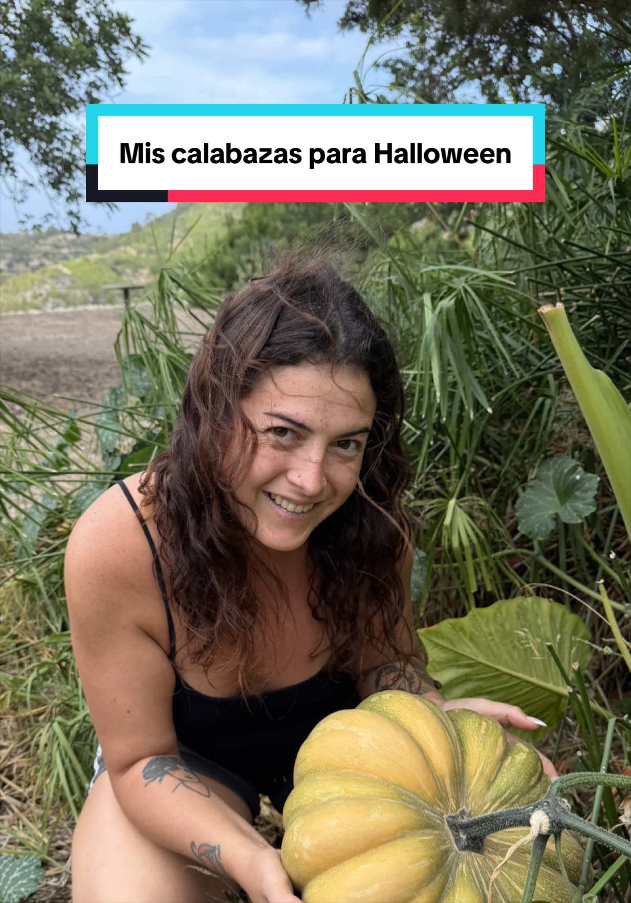 @laakarol