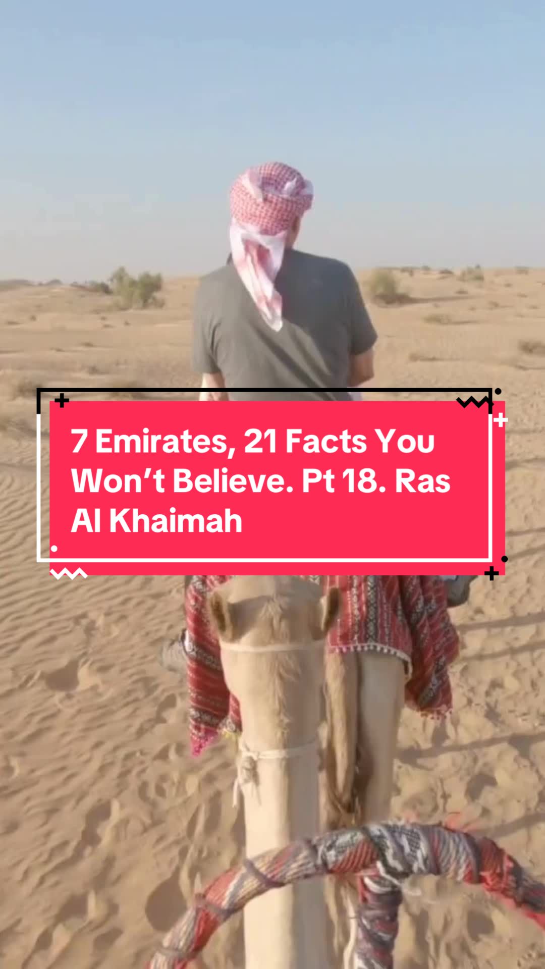 @uaeplaybook.com