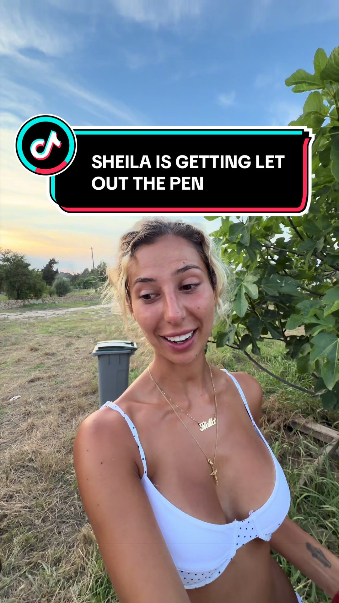 @Stella TzortZi