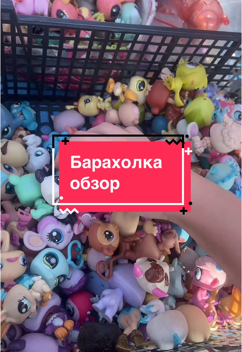 @M colector🧸