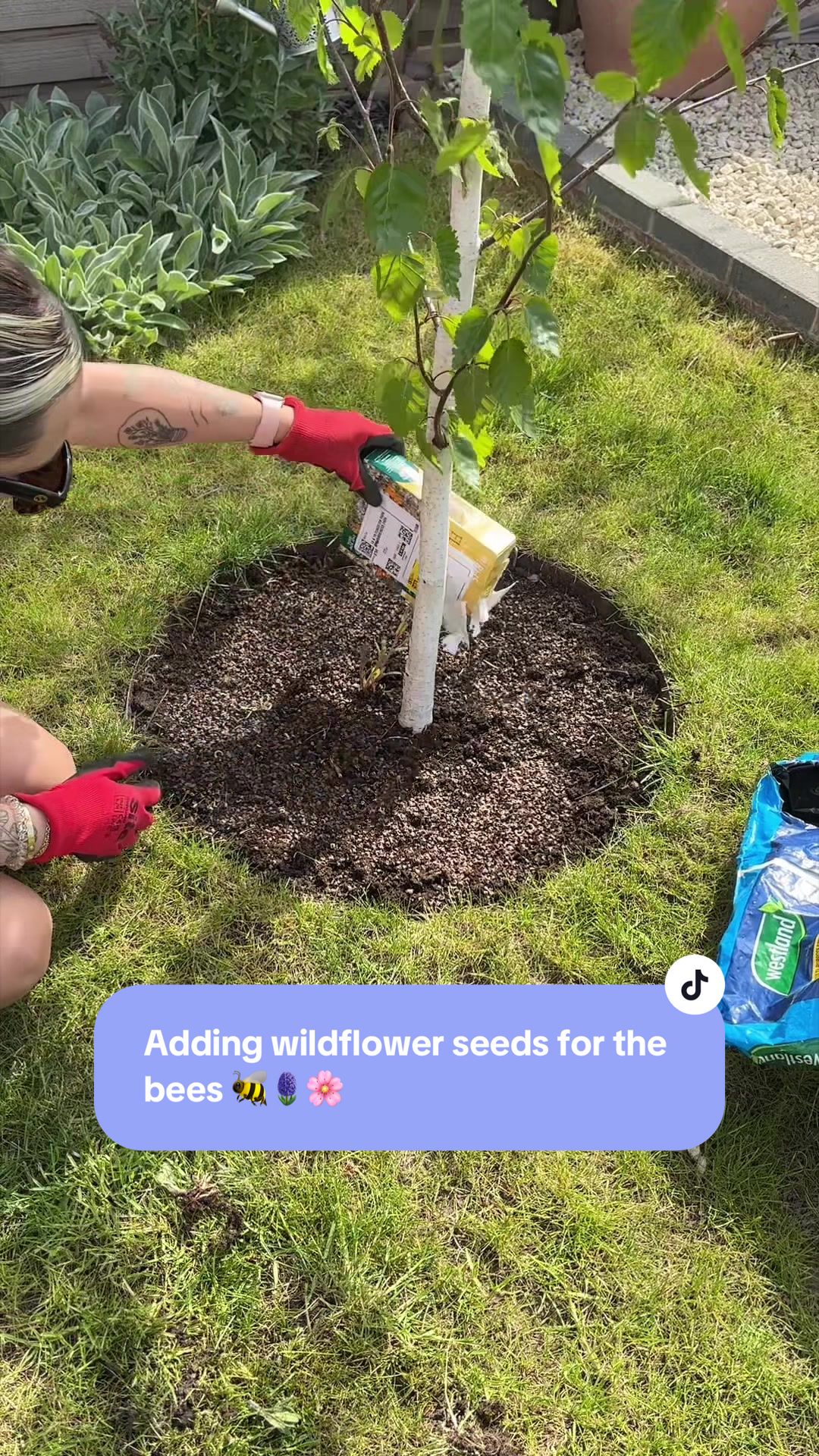@Georgie | Gardening