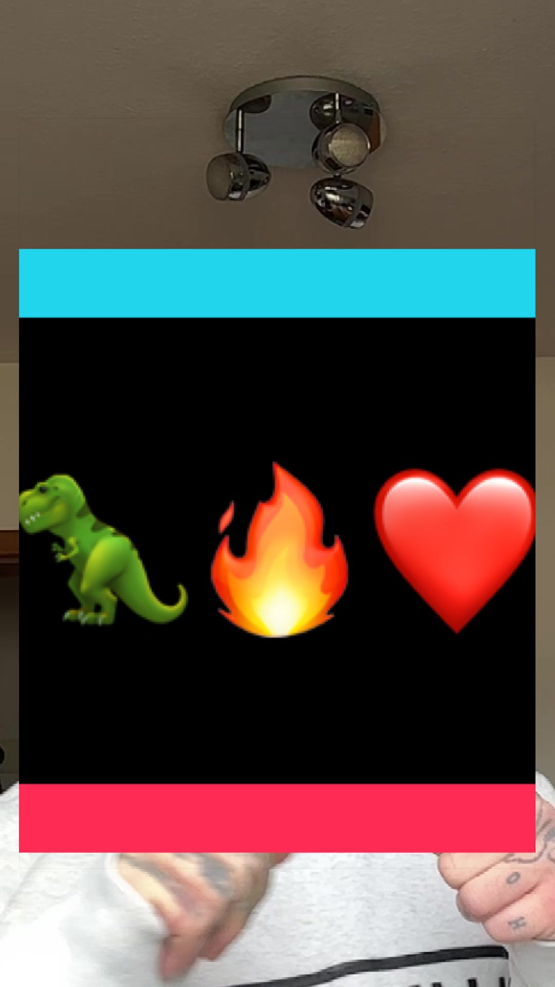 @Original_Dinopapa🦖