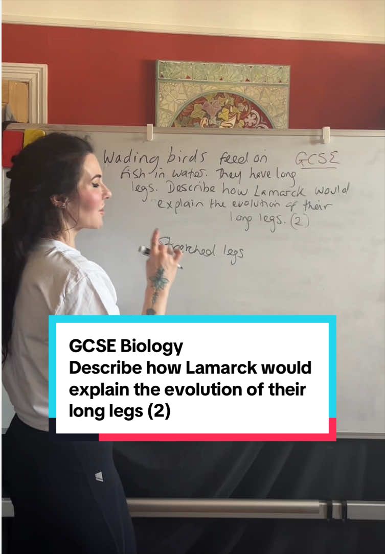 @MyEdSpace Biology
