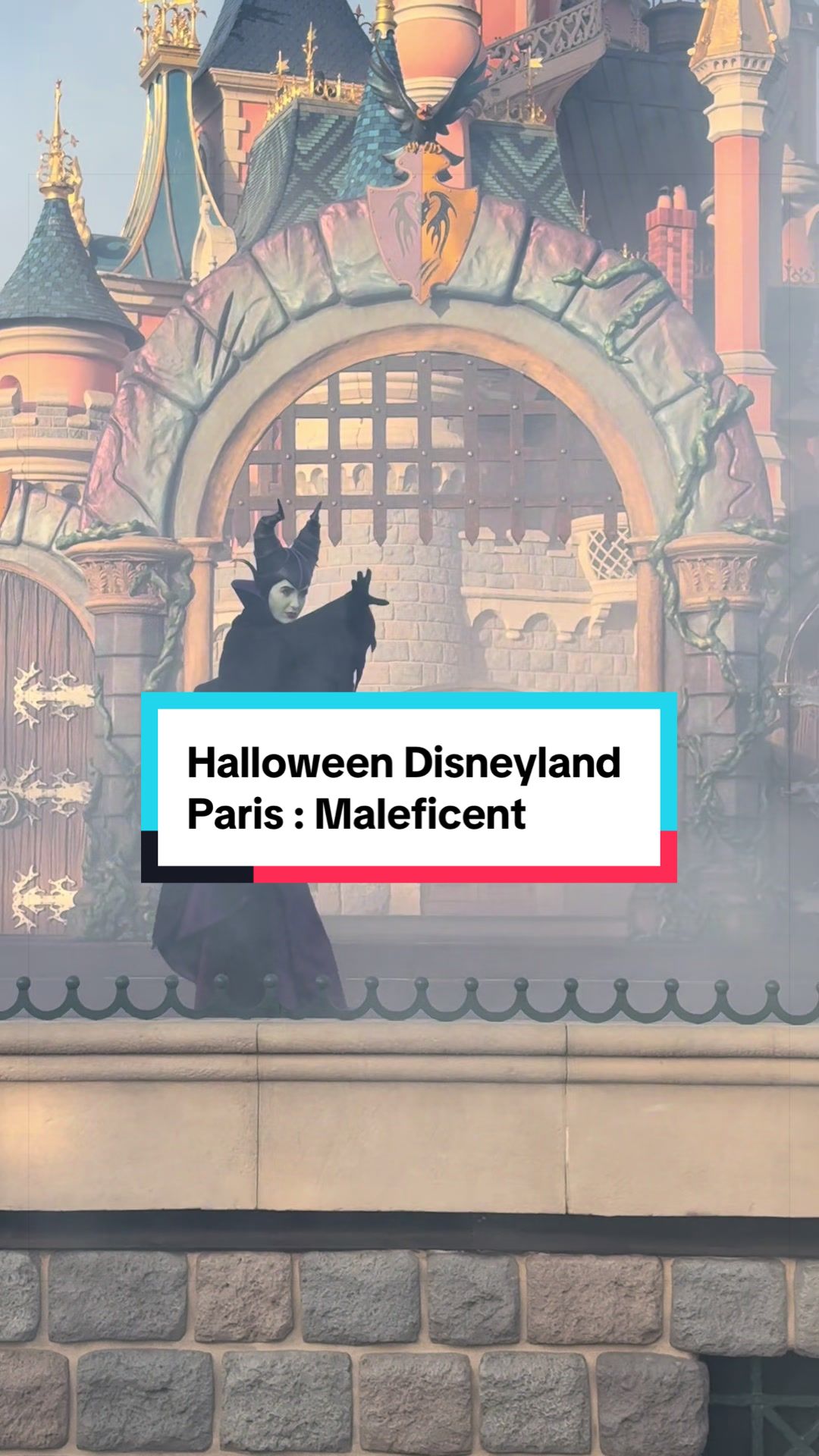 @Em & Step | Travel & Disney ✈️