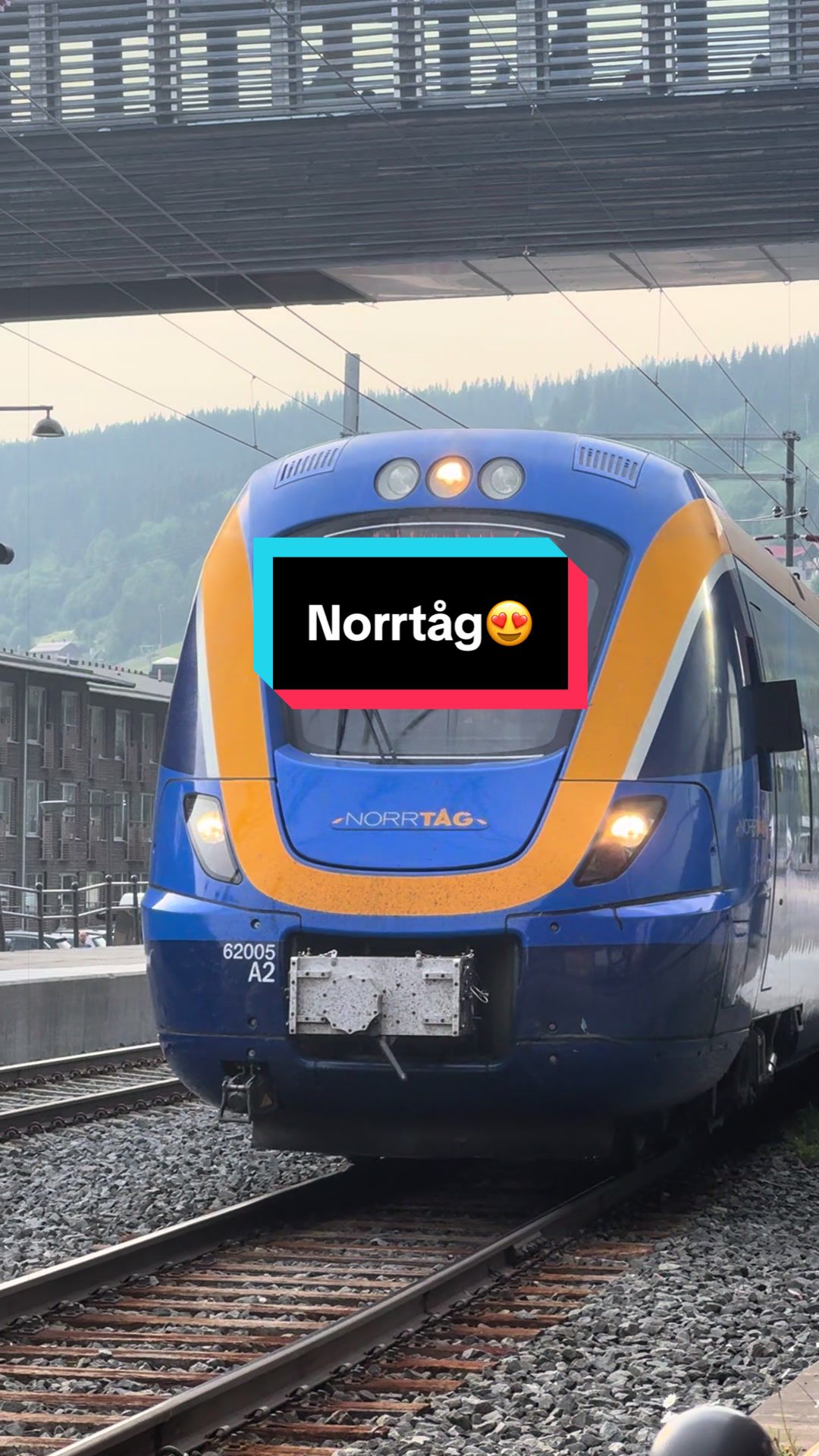 @đžThe Swedish Trainspotterđž