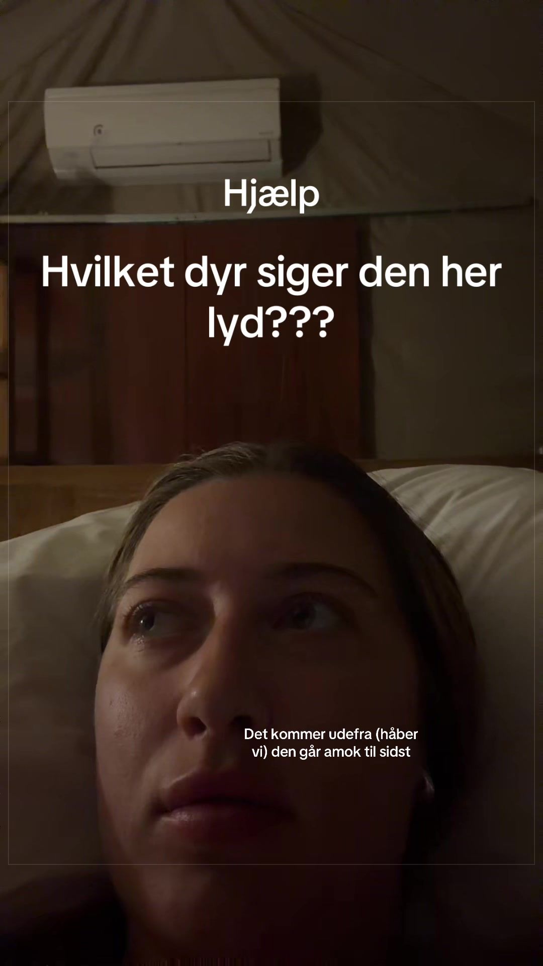 @Malou Nordenhof
