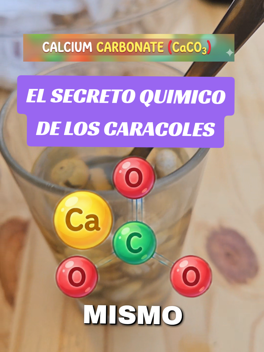 @Beaclases