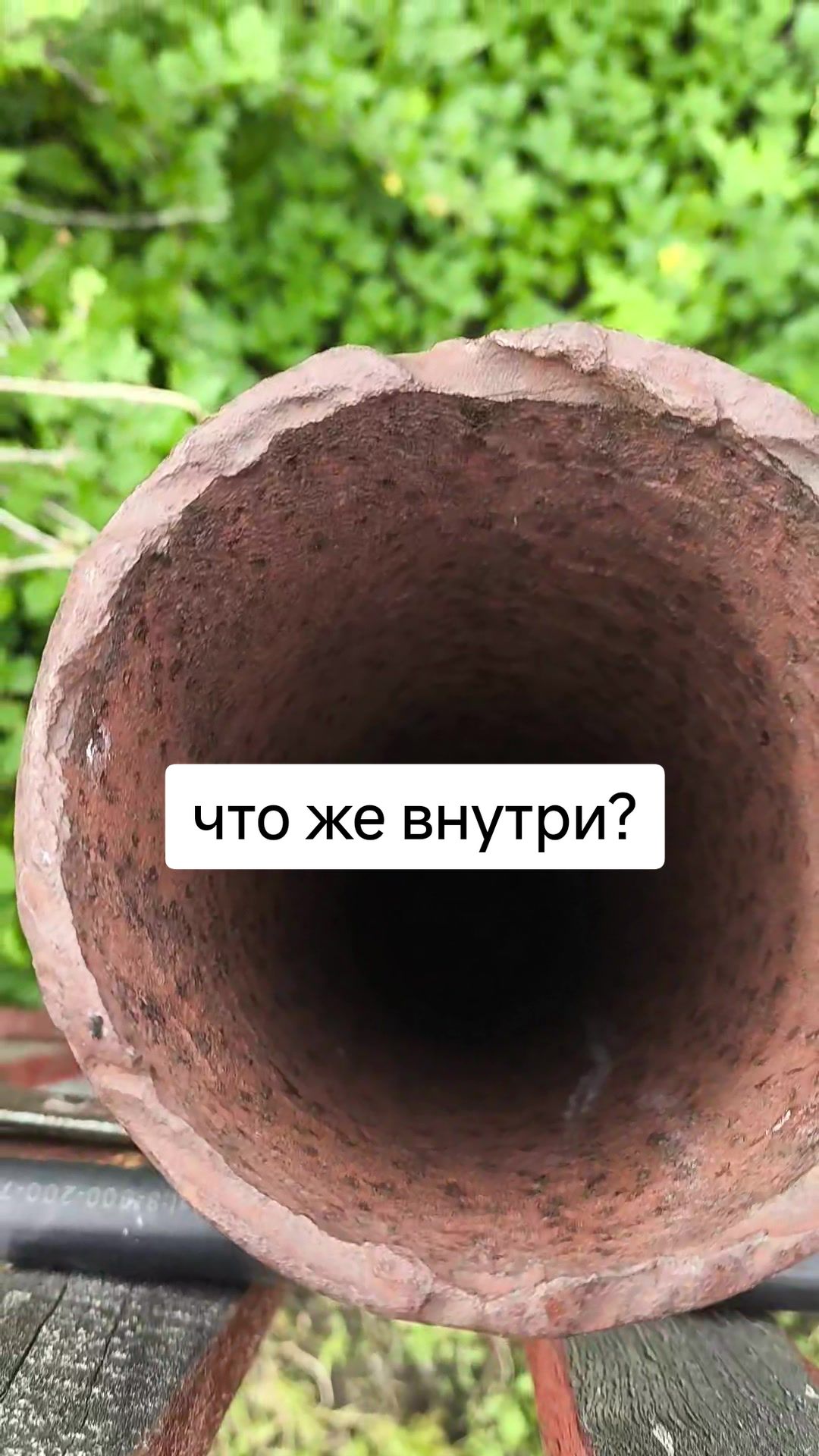 @Женя Садовая