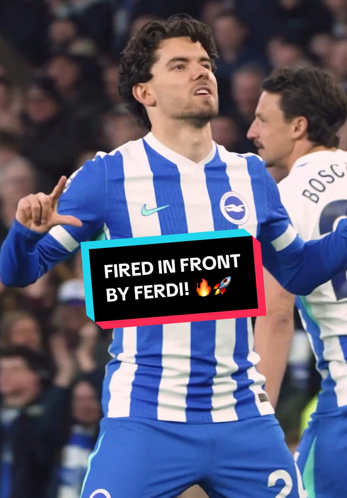 @Brighton & Hove Albion FC