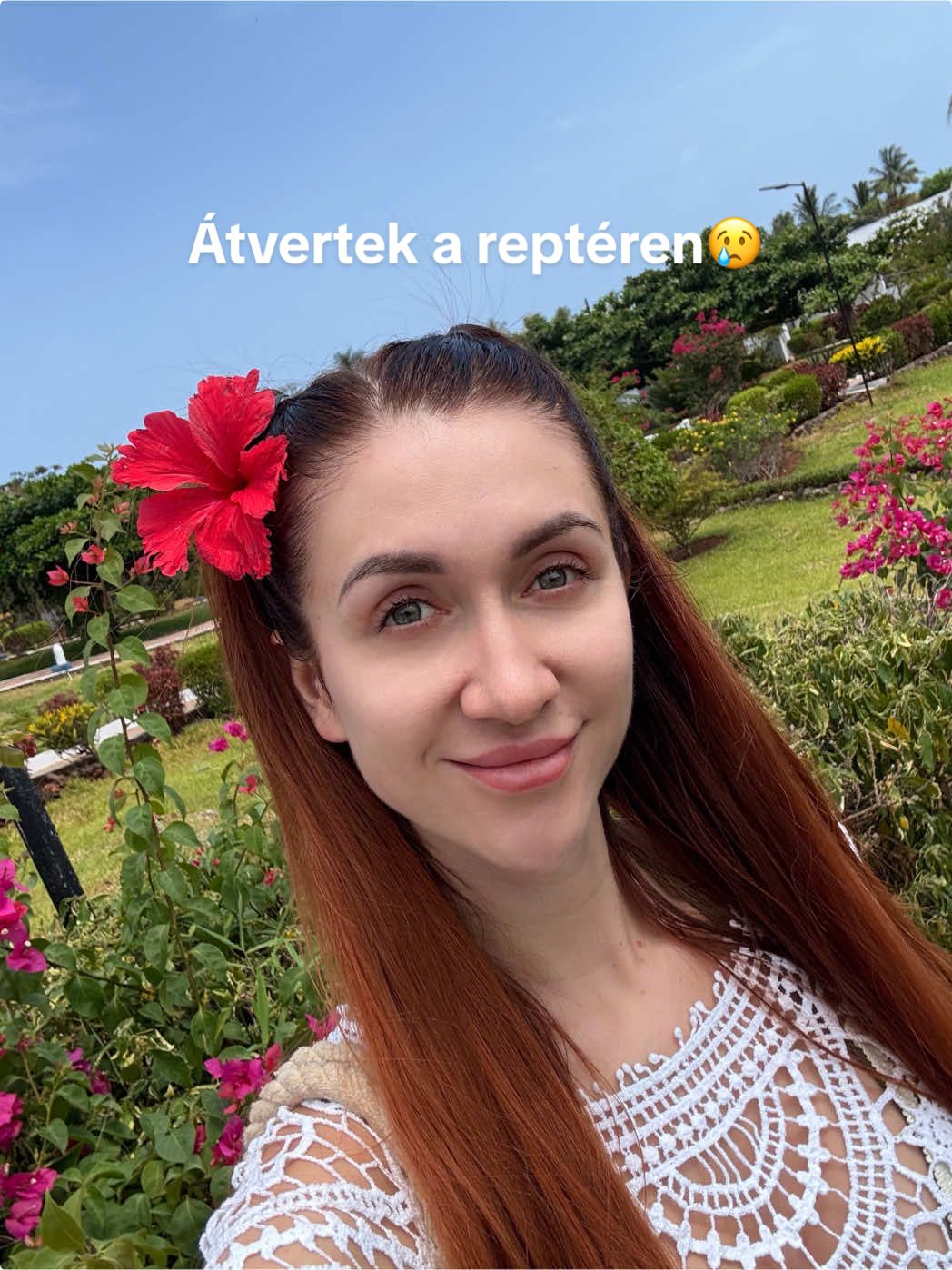 @dreamvibes