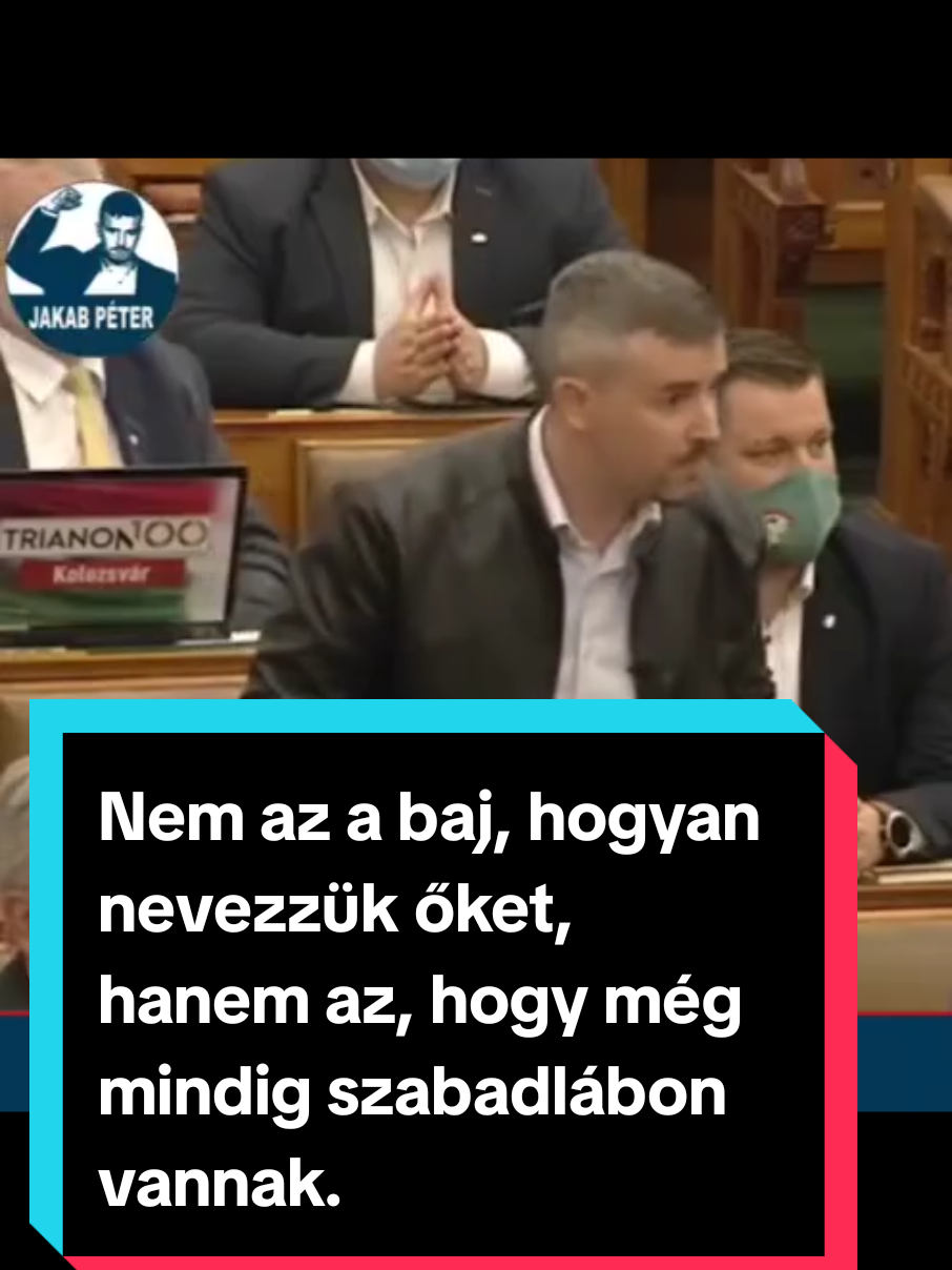 @Jakab P&eacute;ter a N&eacute;p P&aacute;rtj&aacute;n