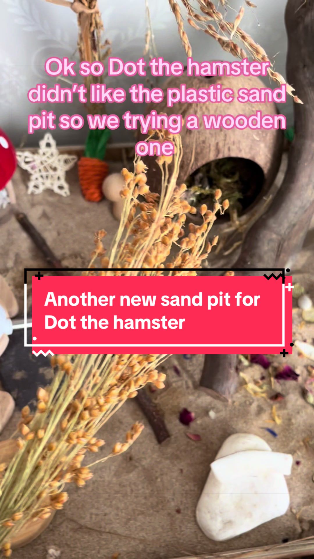 @The land of Dot