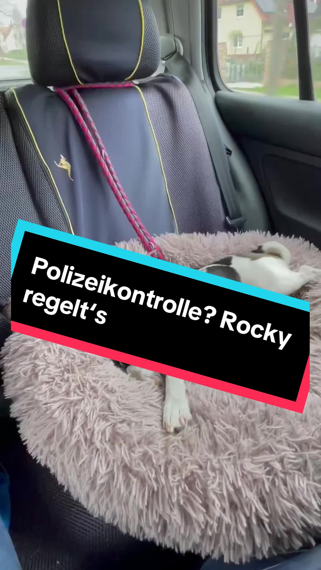 @Rocky und ich