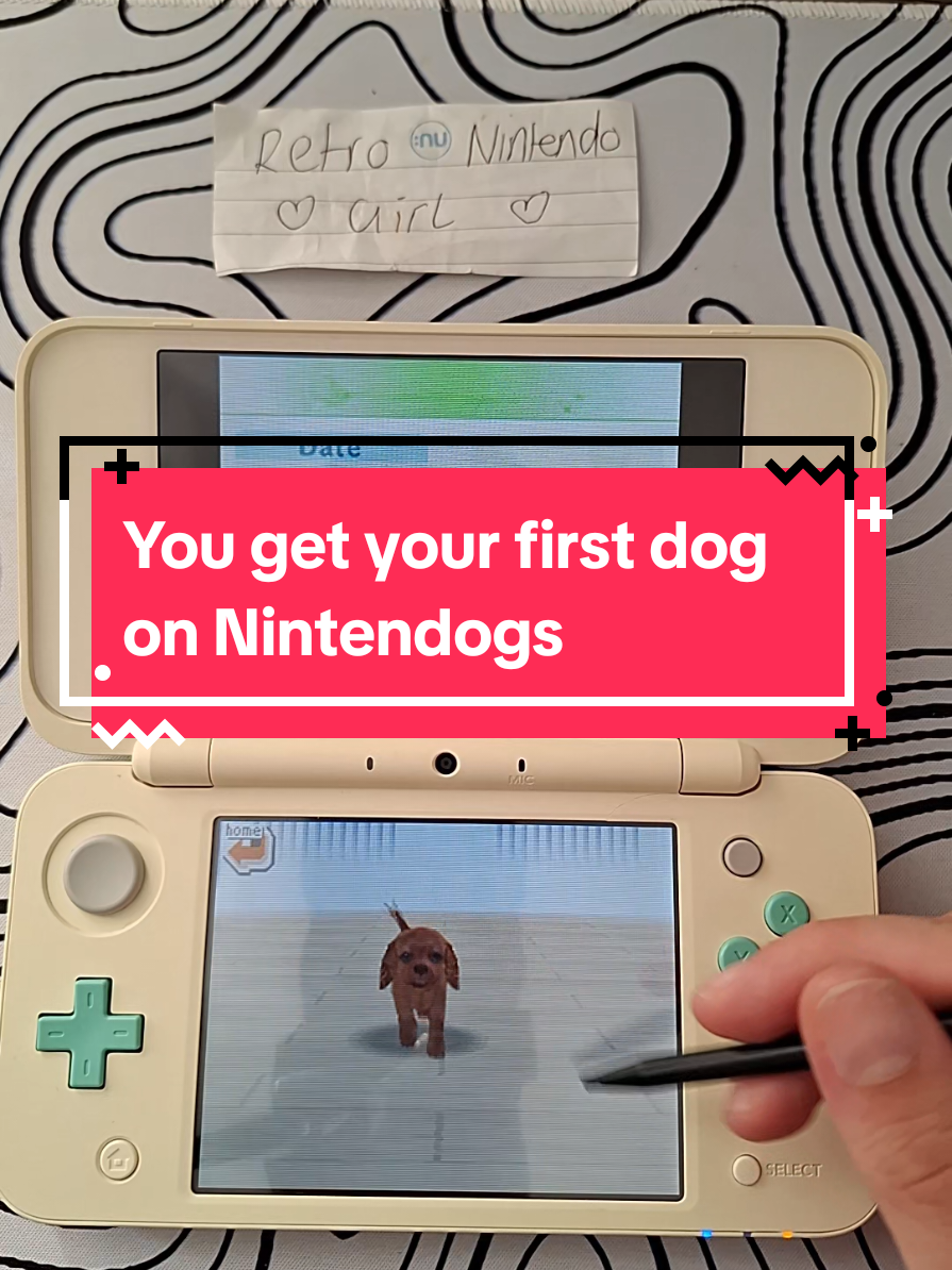 @RetroNintendoGirl