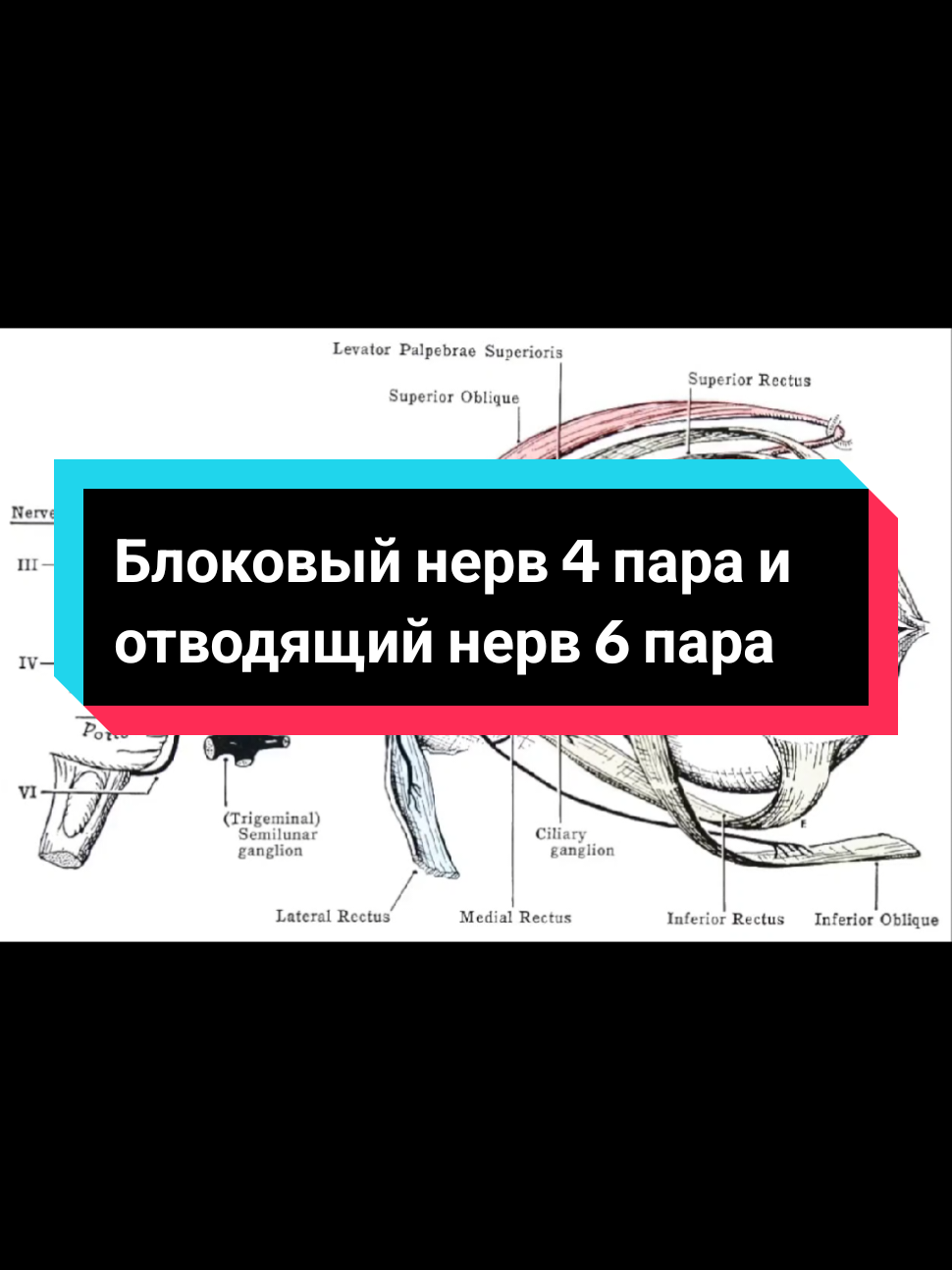 @DushaBolnicy💫
