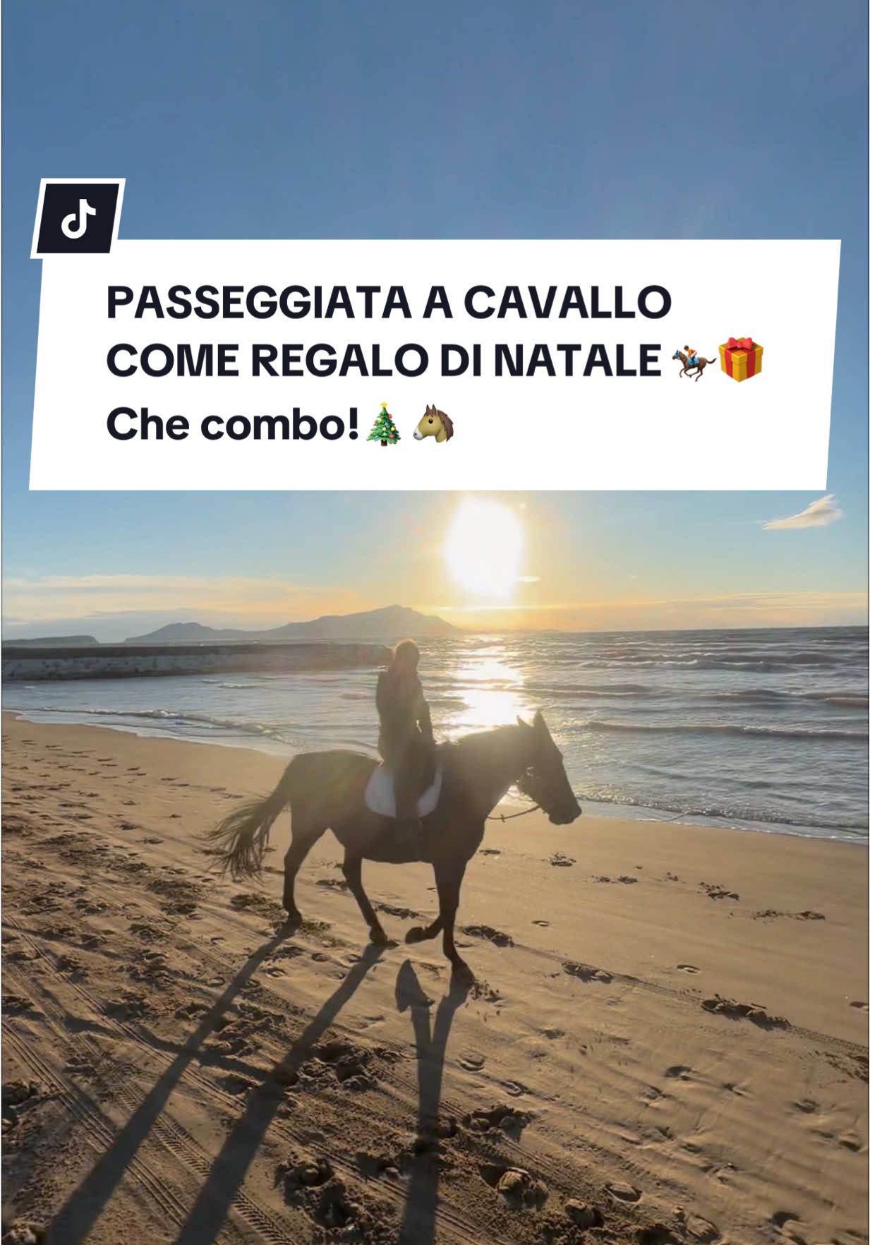 @ANGELACAPUANOHORSE