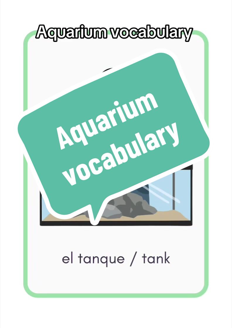 @Learn Spanish with Miss Viva