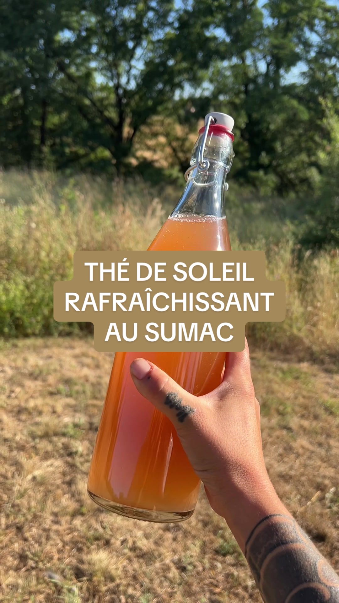 @animabotanica