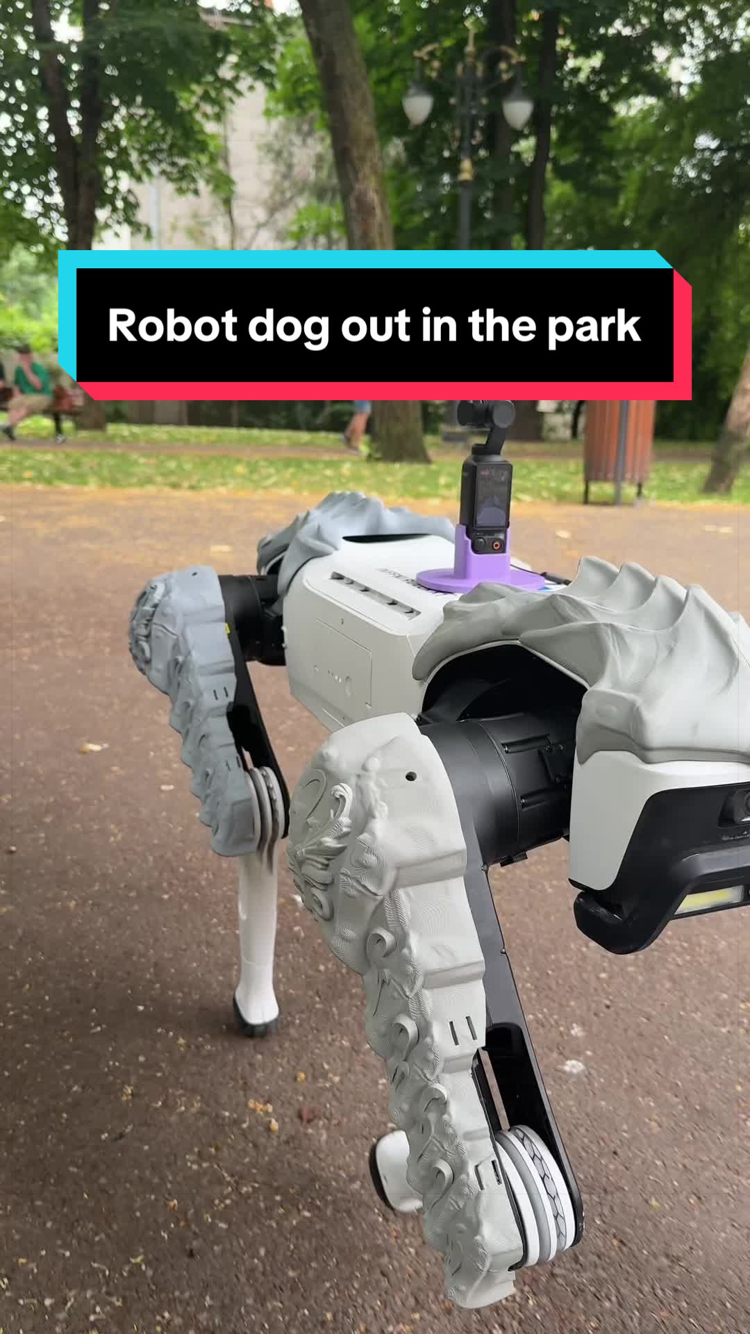 @Plastic3D