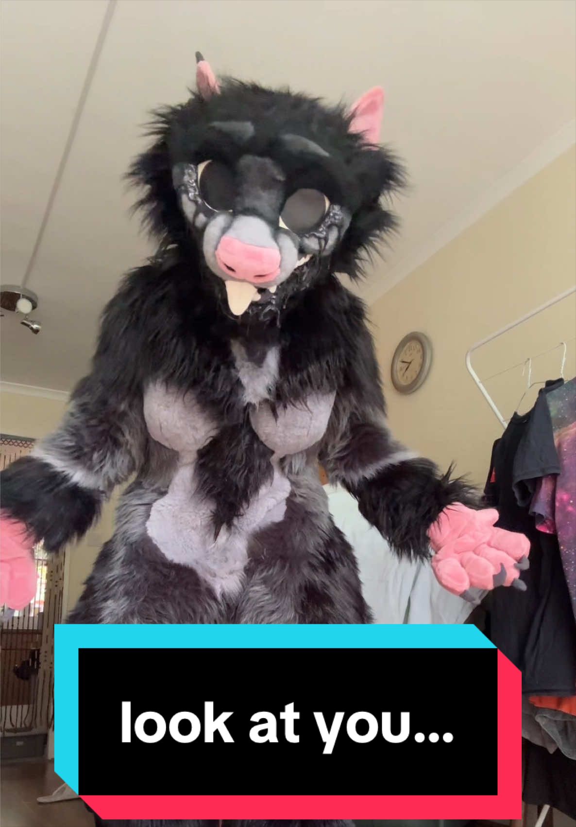 @Rayne (alyxamutt)