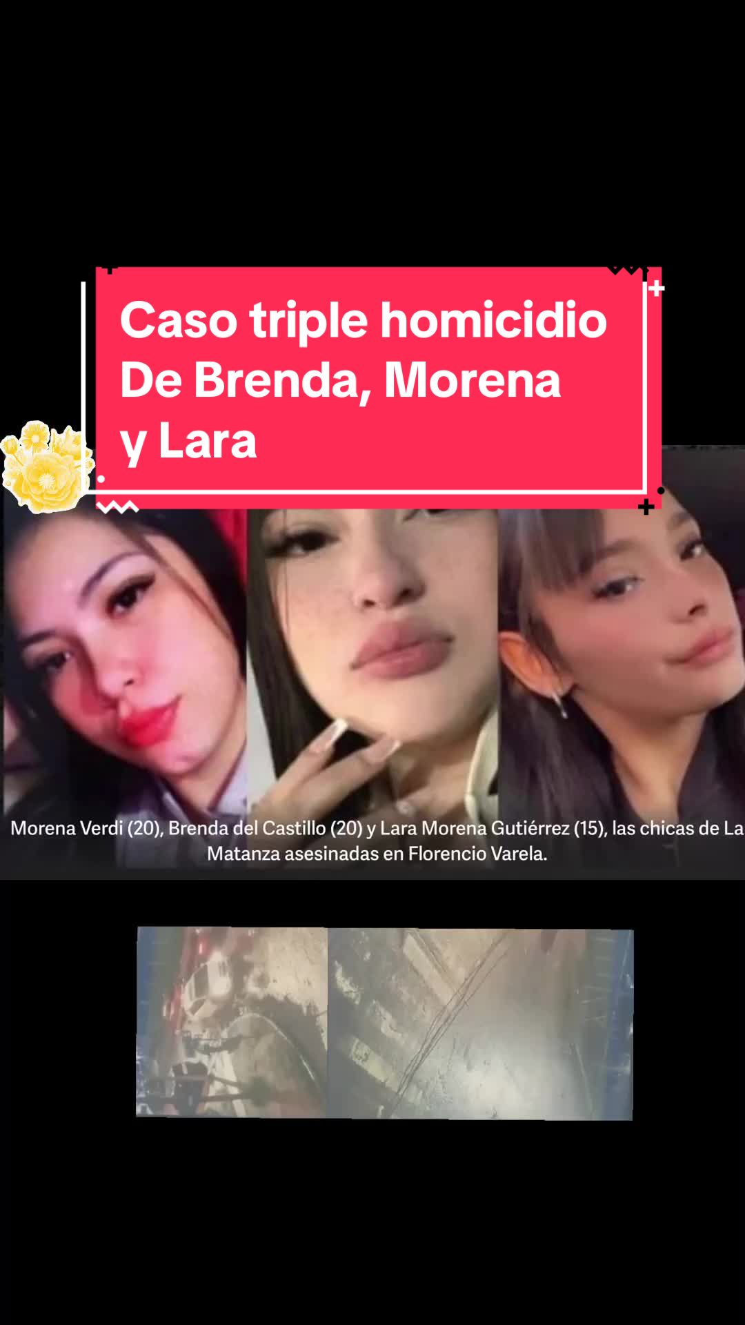 @evitalaluz