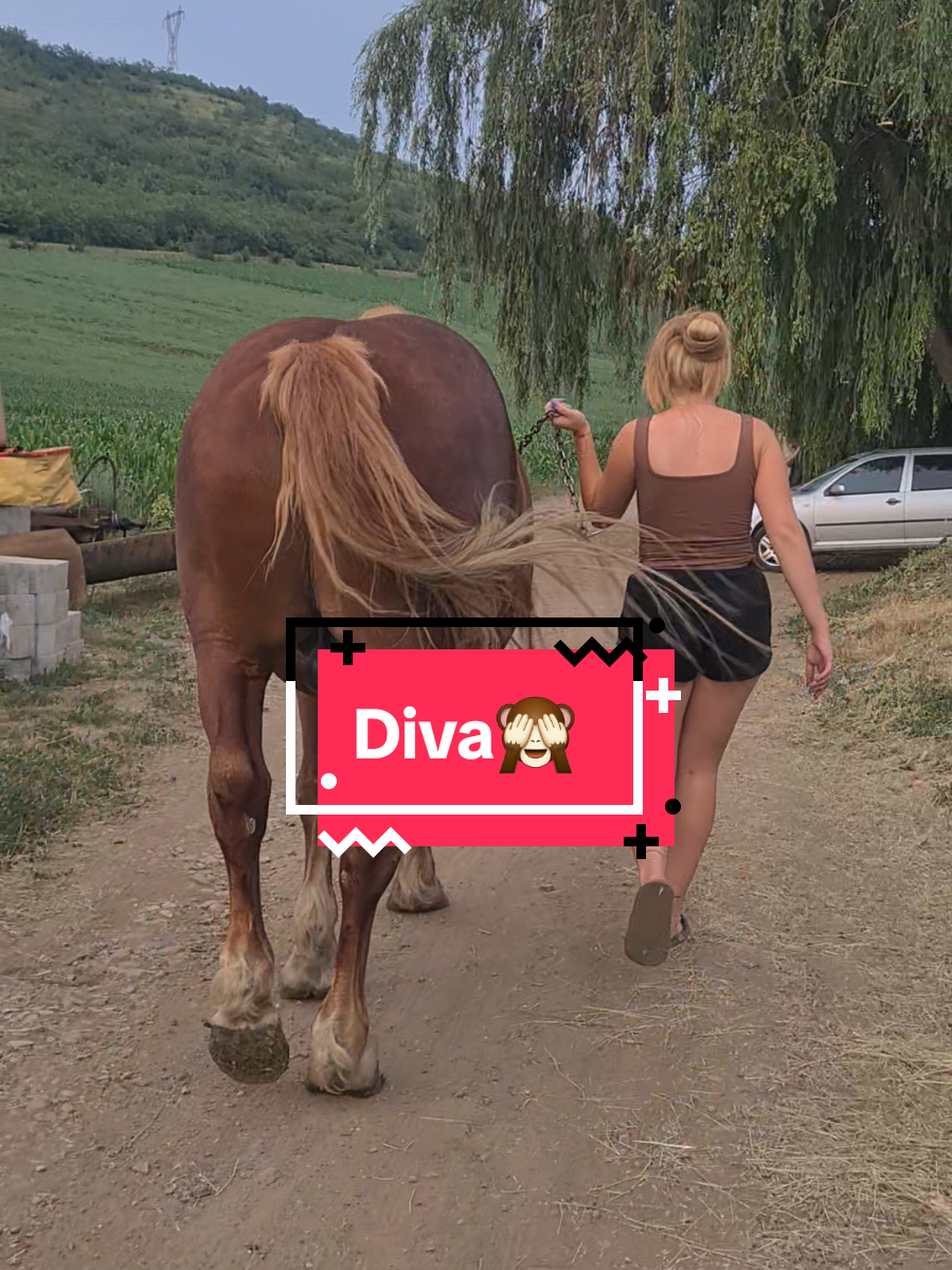 @Bonca Dorina
