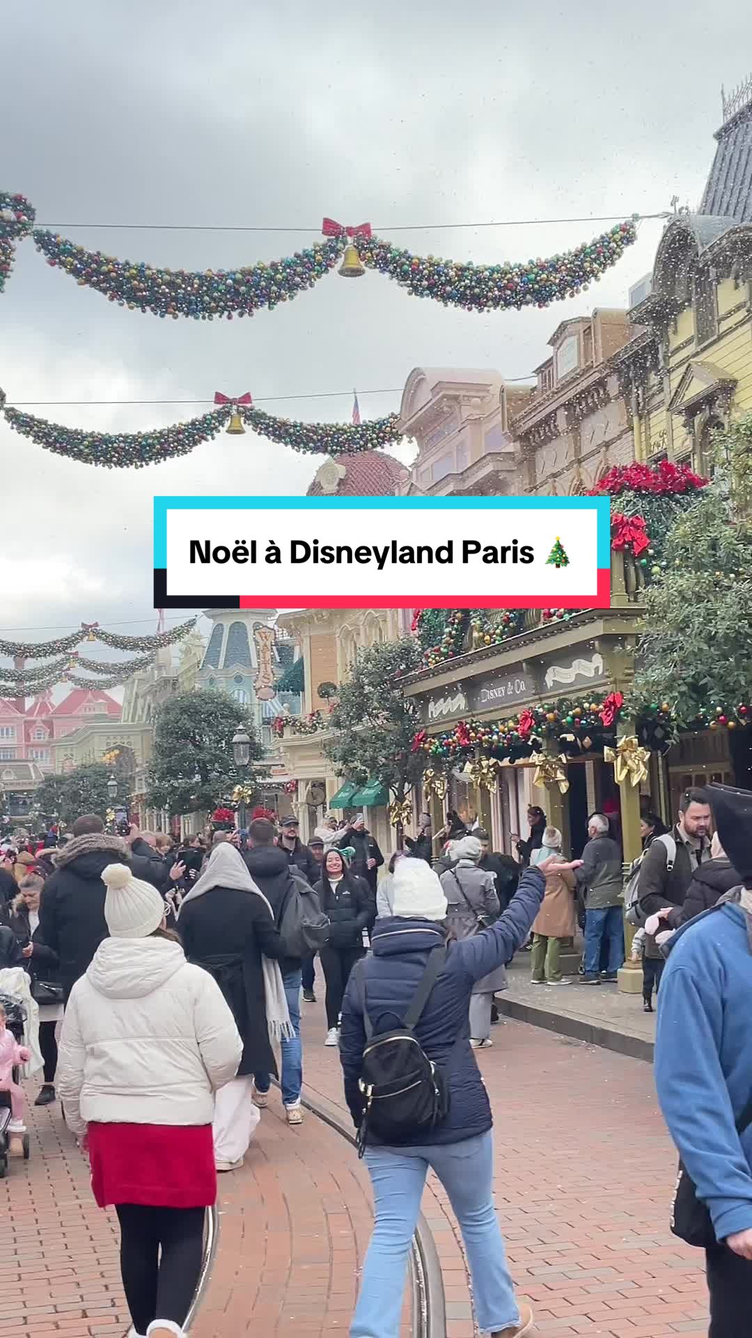 @✨DLP.trip✨