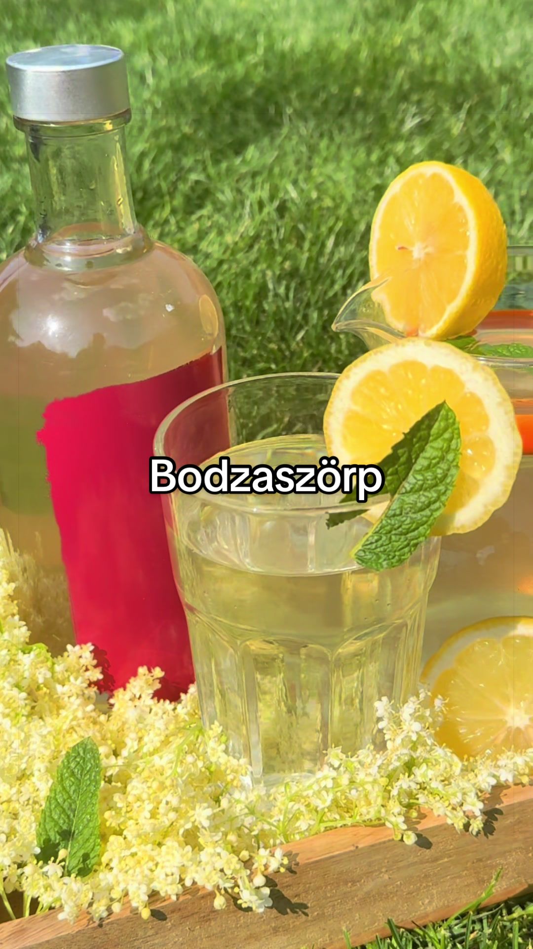 @ᴋᴏᴢᴊᴀ́ʀ-ᴘᴇᴛʜᴏ̋ ɴɪᴋᴏʟᴇᴛᴛᴀ