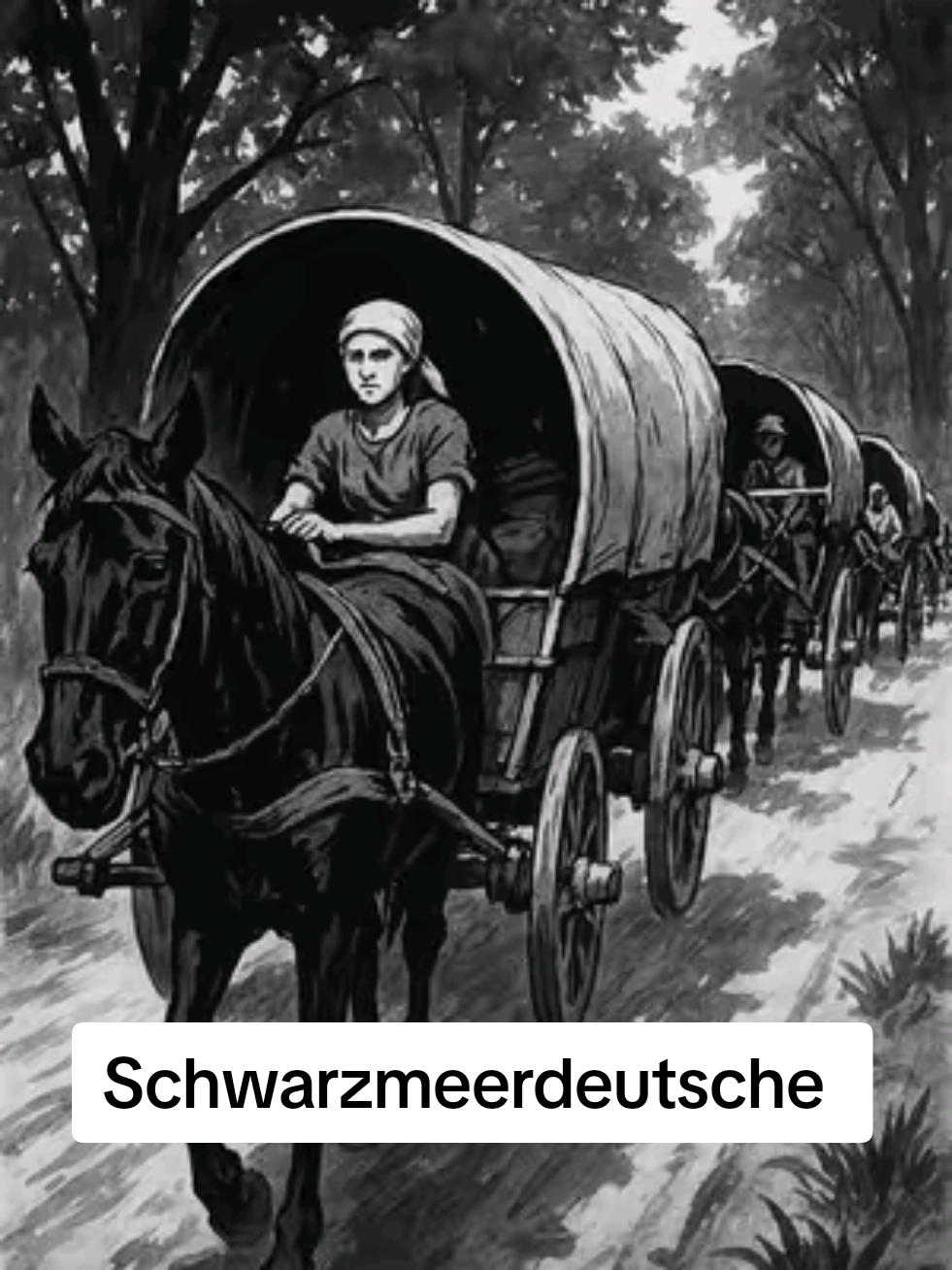 @Wolgadeutsche Lieder