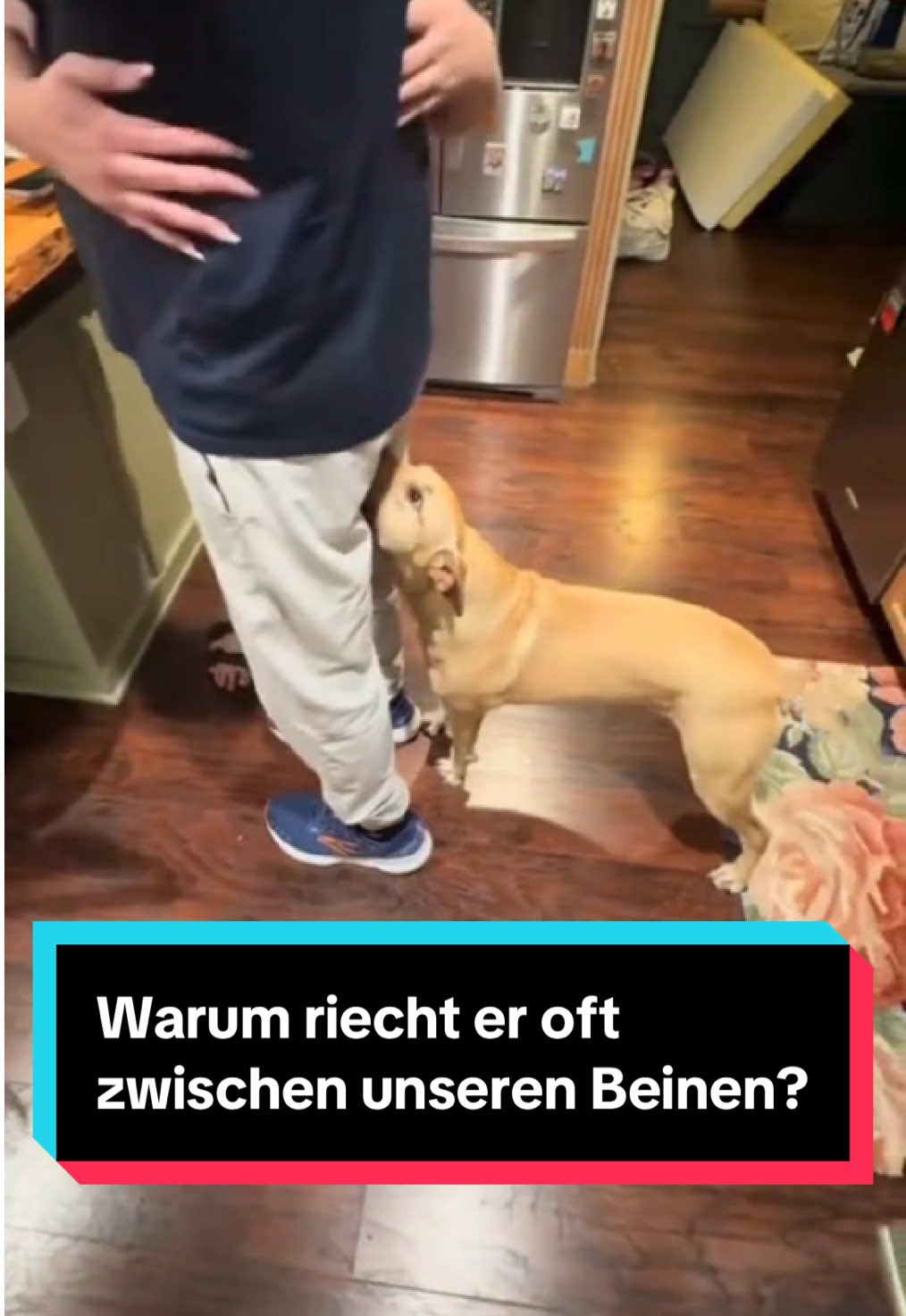 @Tiere kennen🐾