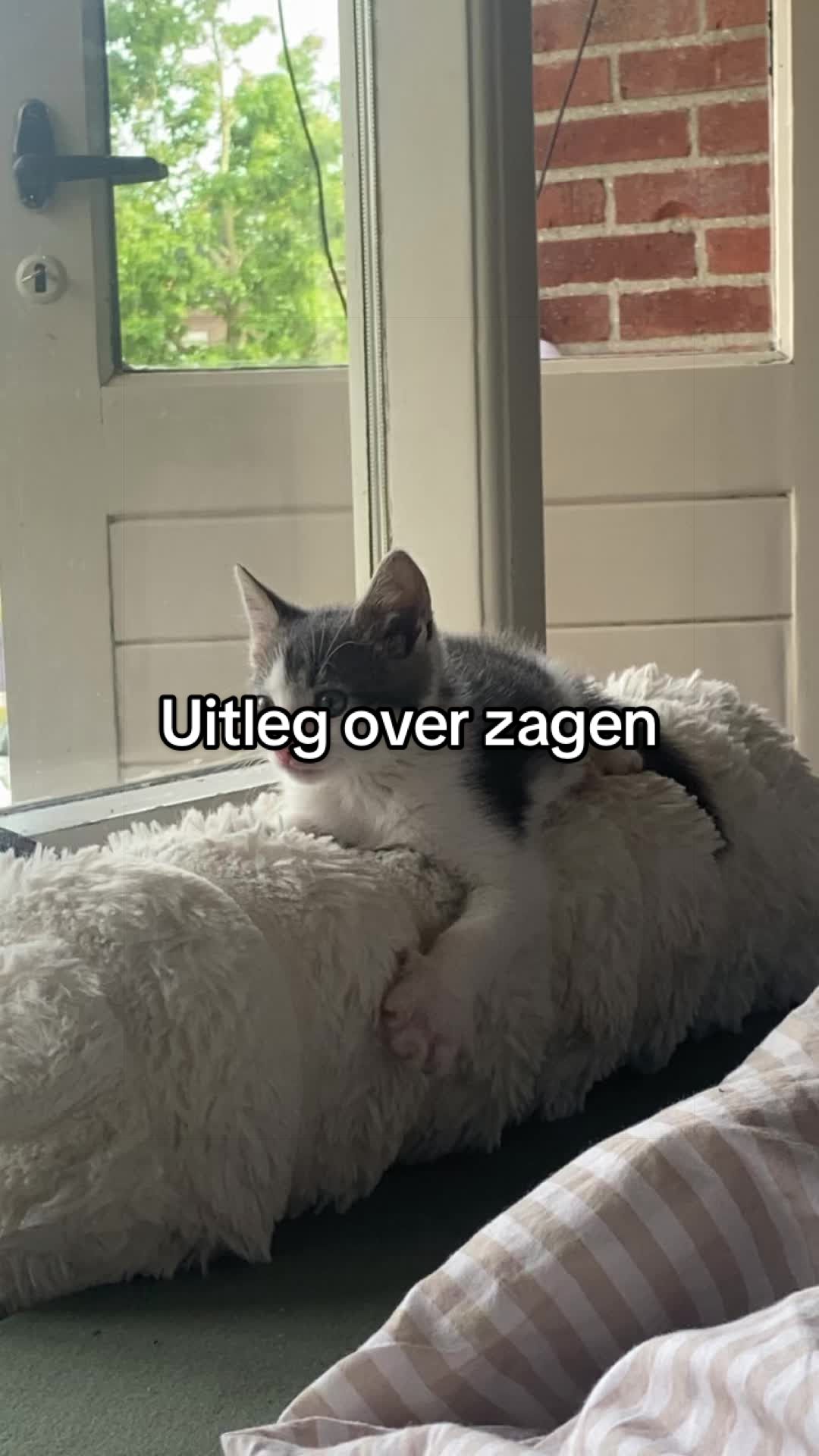 @🇳🇱Madelief🇳🇱