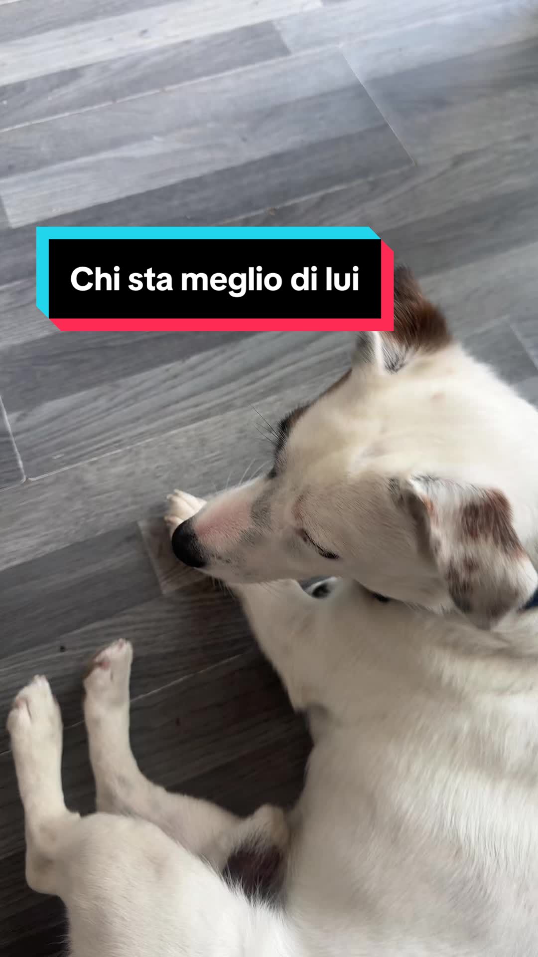 @Vincenzo Lucia Massa-Gigli