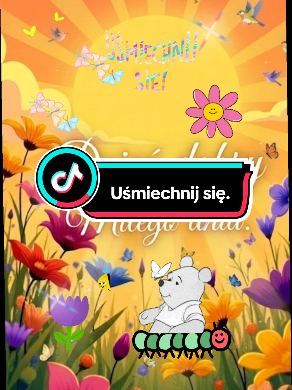 @Wesolutki 😎