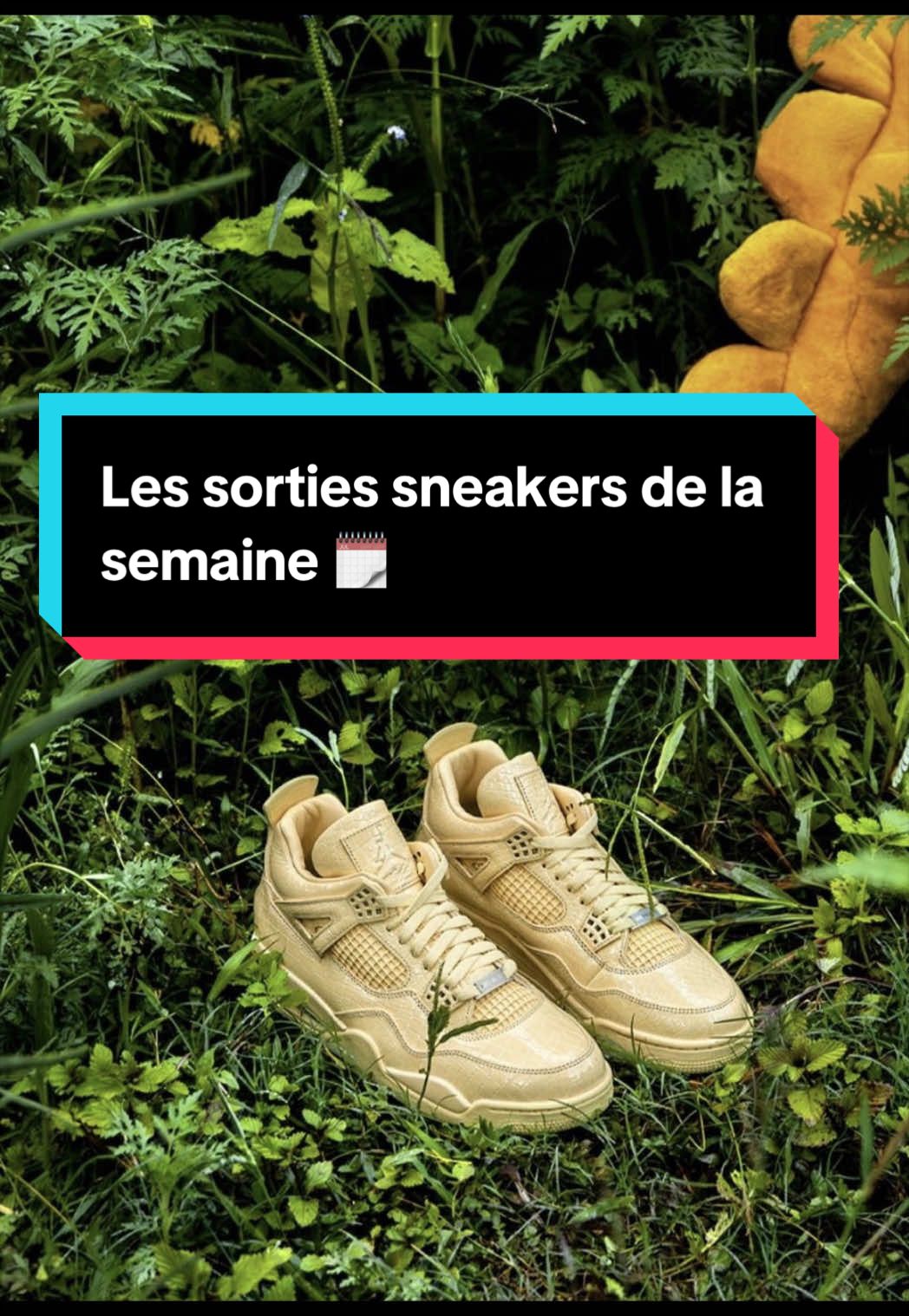 @Le Site de la Sneaker