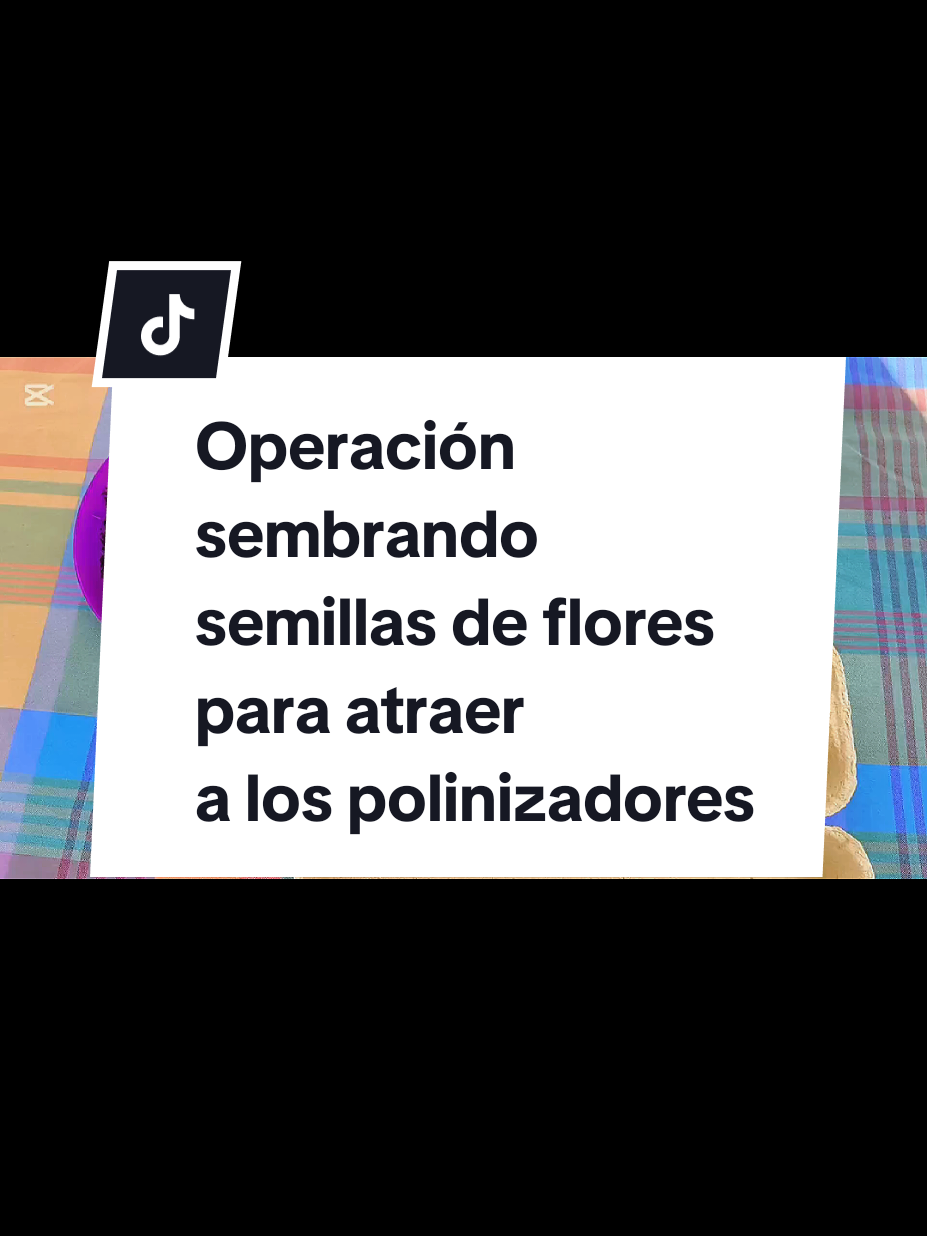 @𝑴𝒊 𝒑𝒂𝒕𝒊𝒐𝒉𝒖𝒆𝒓𝒕𝒐