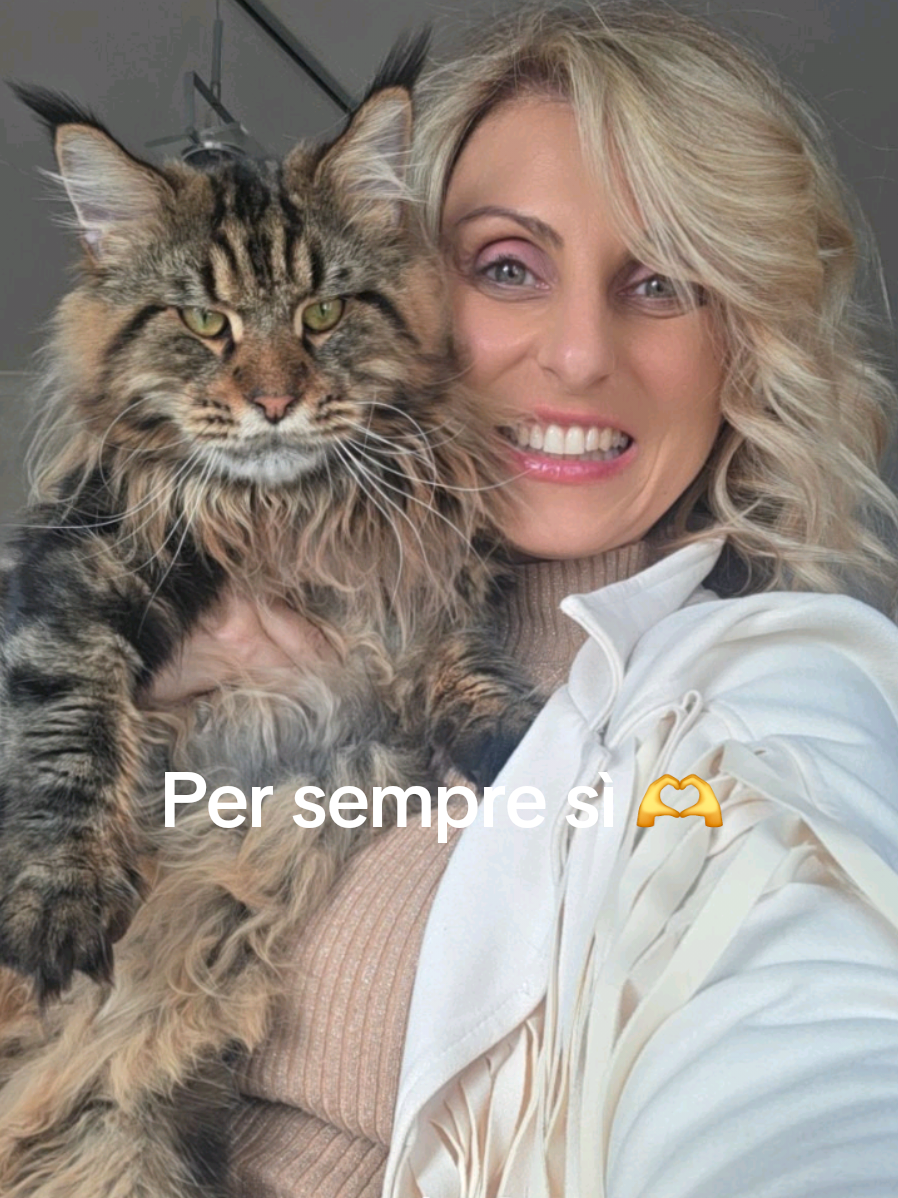@🐾Aspen🐾