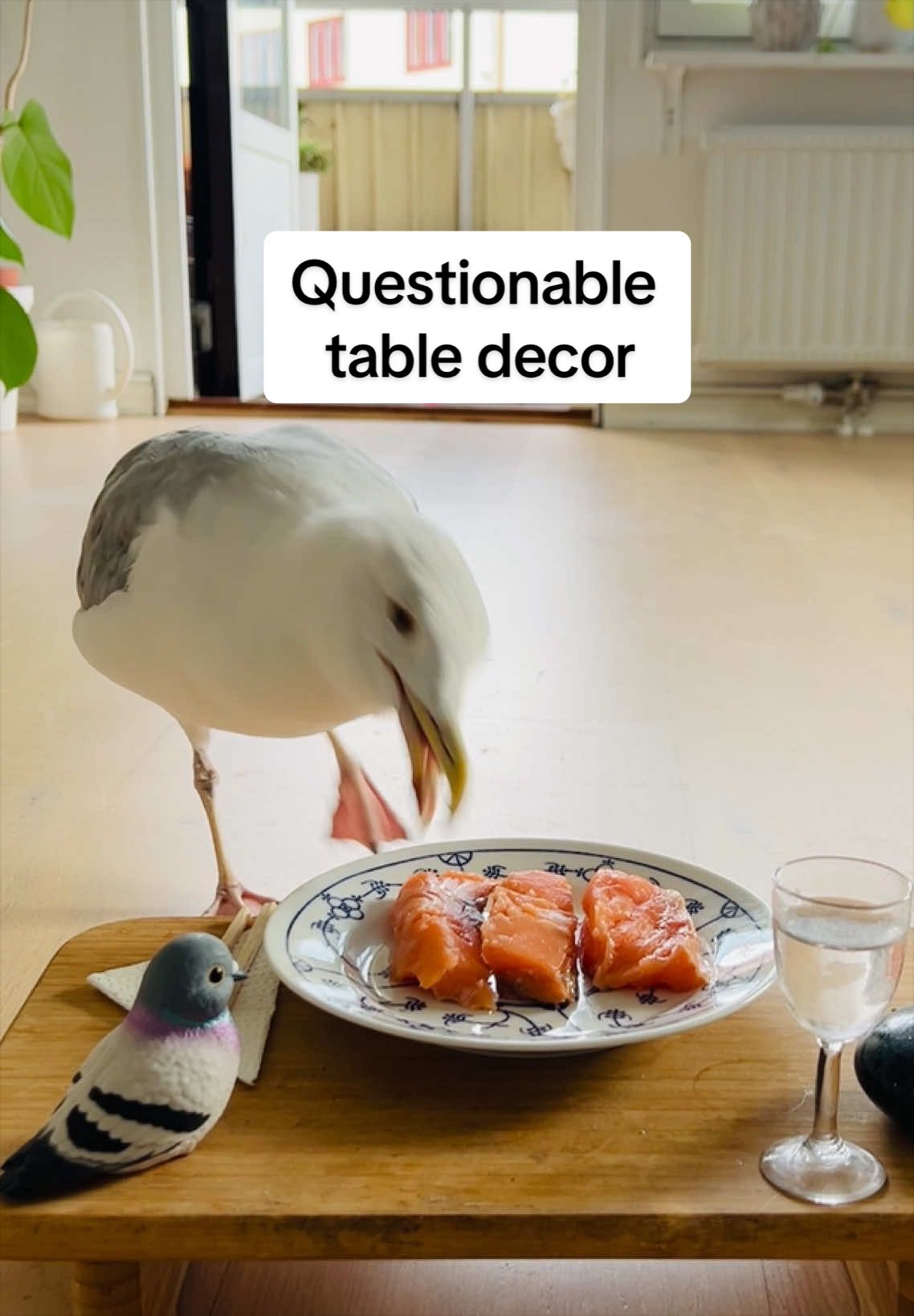 @Winston gull